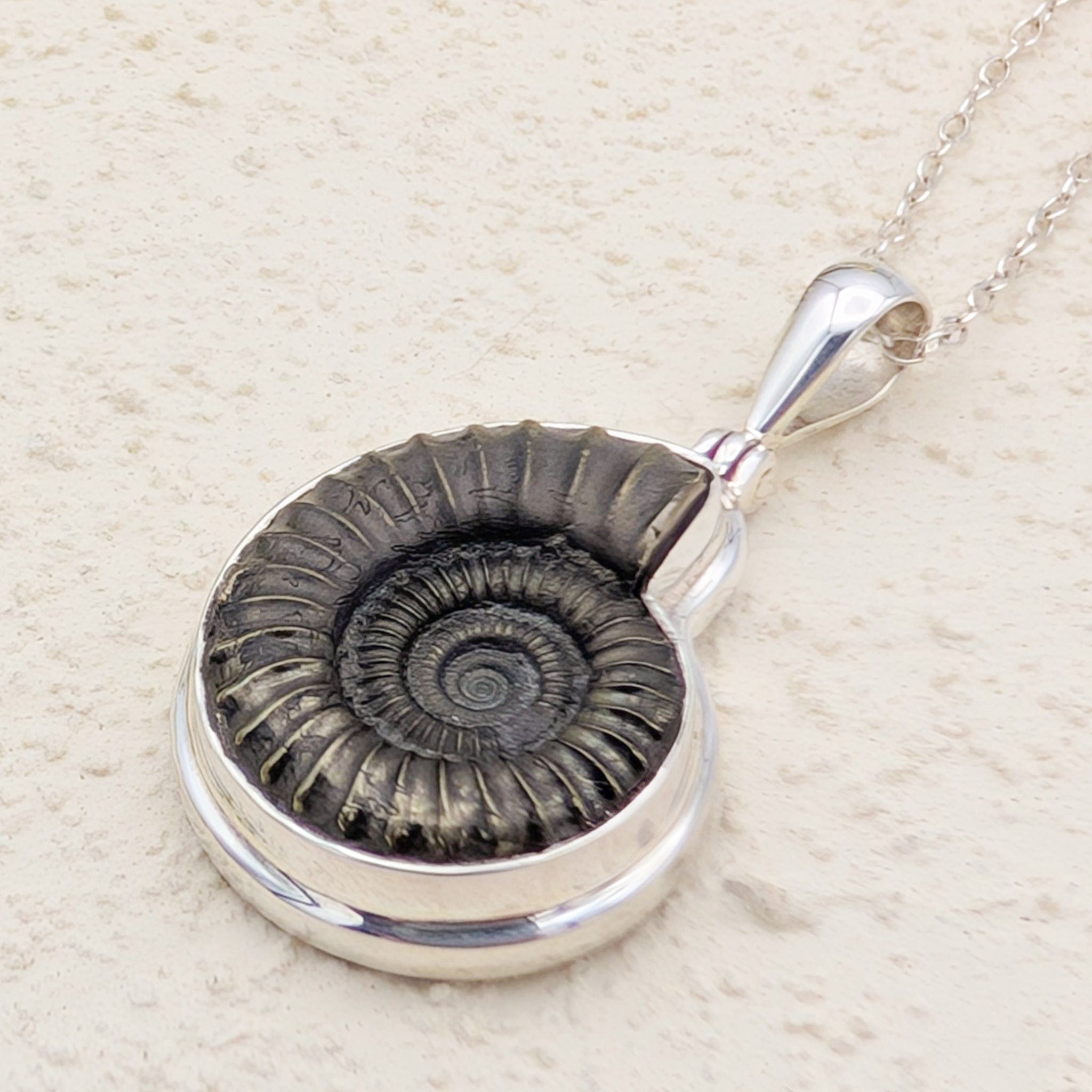 Hepburn and Hughes Ammonite Pendant | 25mm Promicroceras Fossil Necklace | Sterling Silver