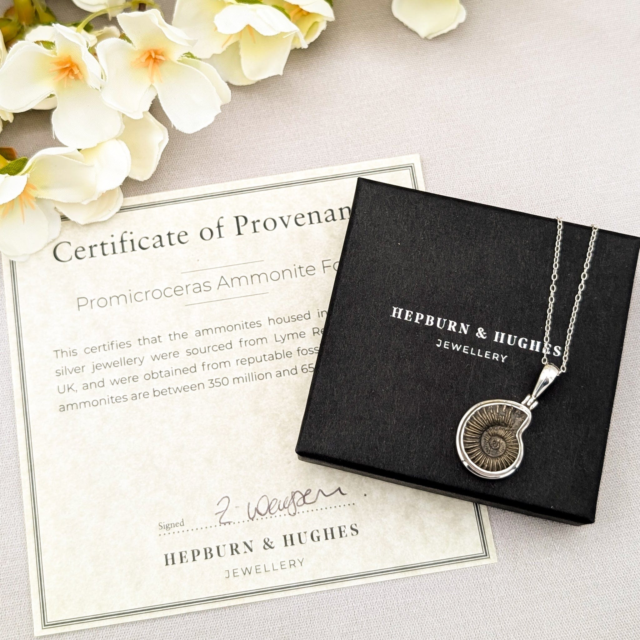 Hepburn and Hughes Ammonite Pendant | 25mm Promicroceras Fossil Necklace | Sterling Silver