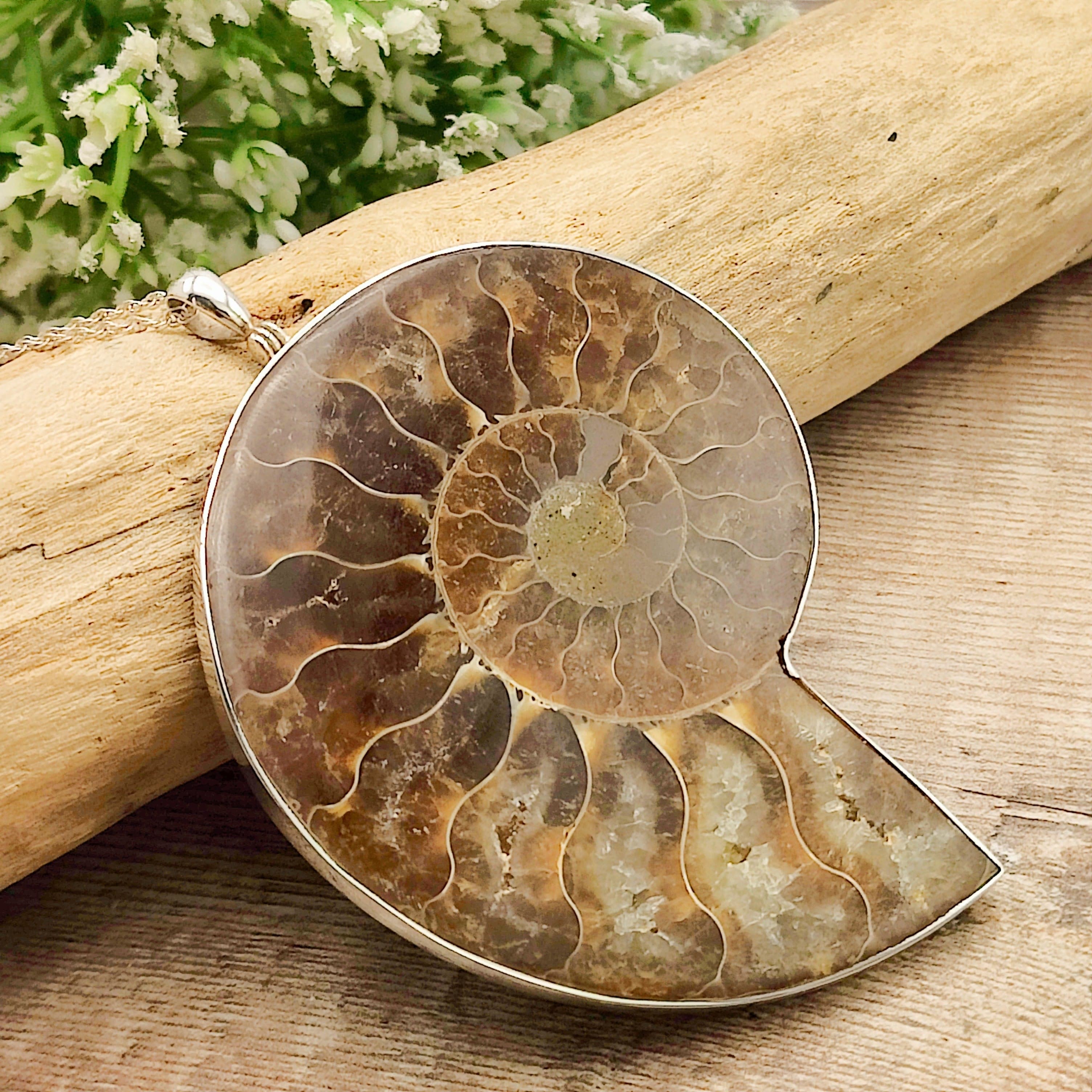 Hepburn and Hughes Ammonite Pendant | Large 76mm Madagascan Fossil | Sterling Silver
