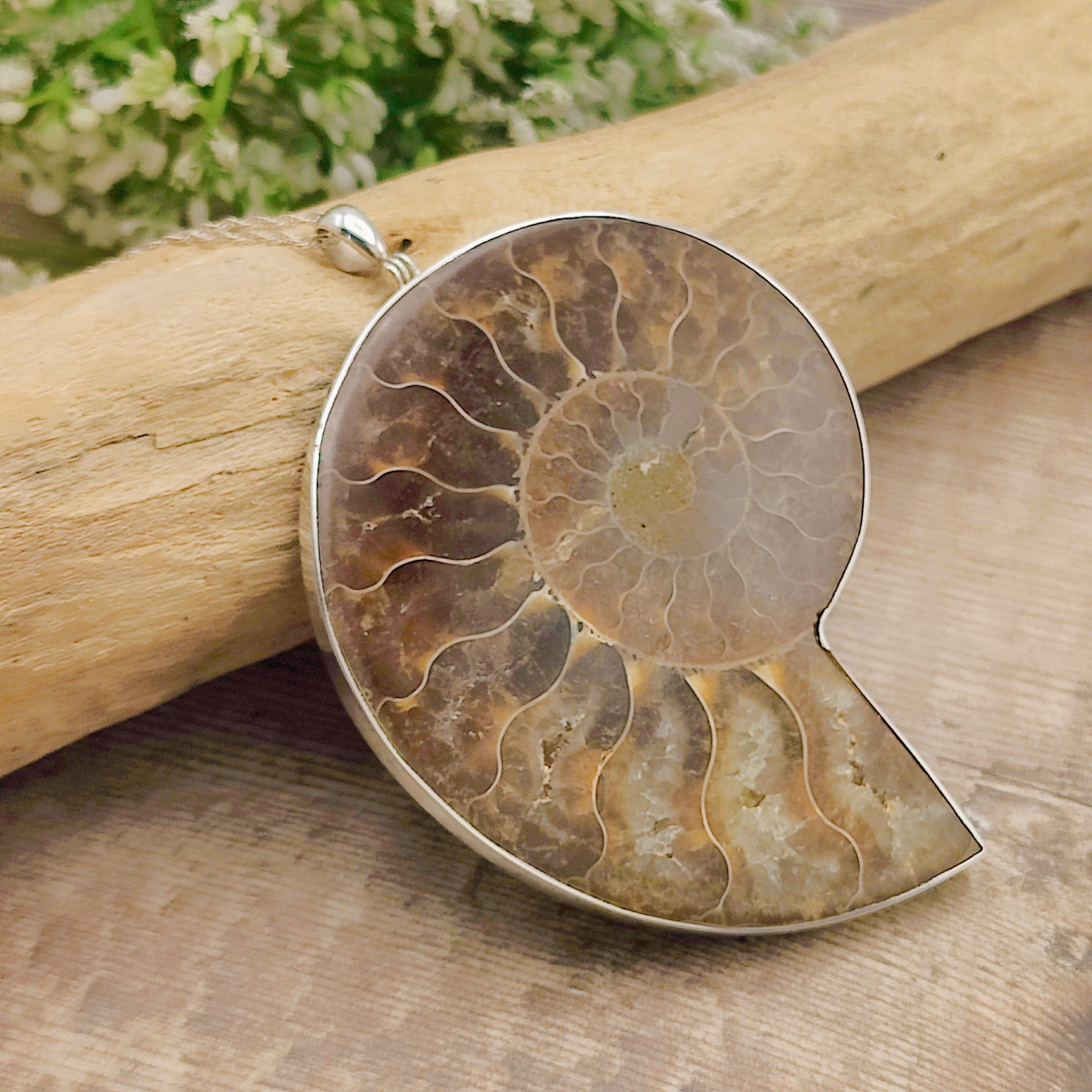 Hepburn and Hughes Ammonite Pendant | Large 76mm Madagascan Fossil | Sterling Silver