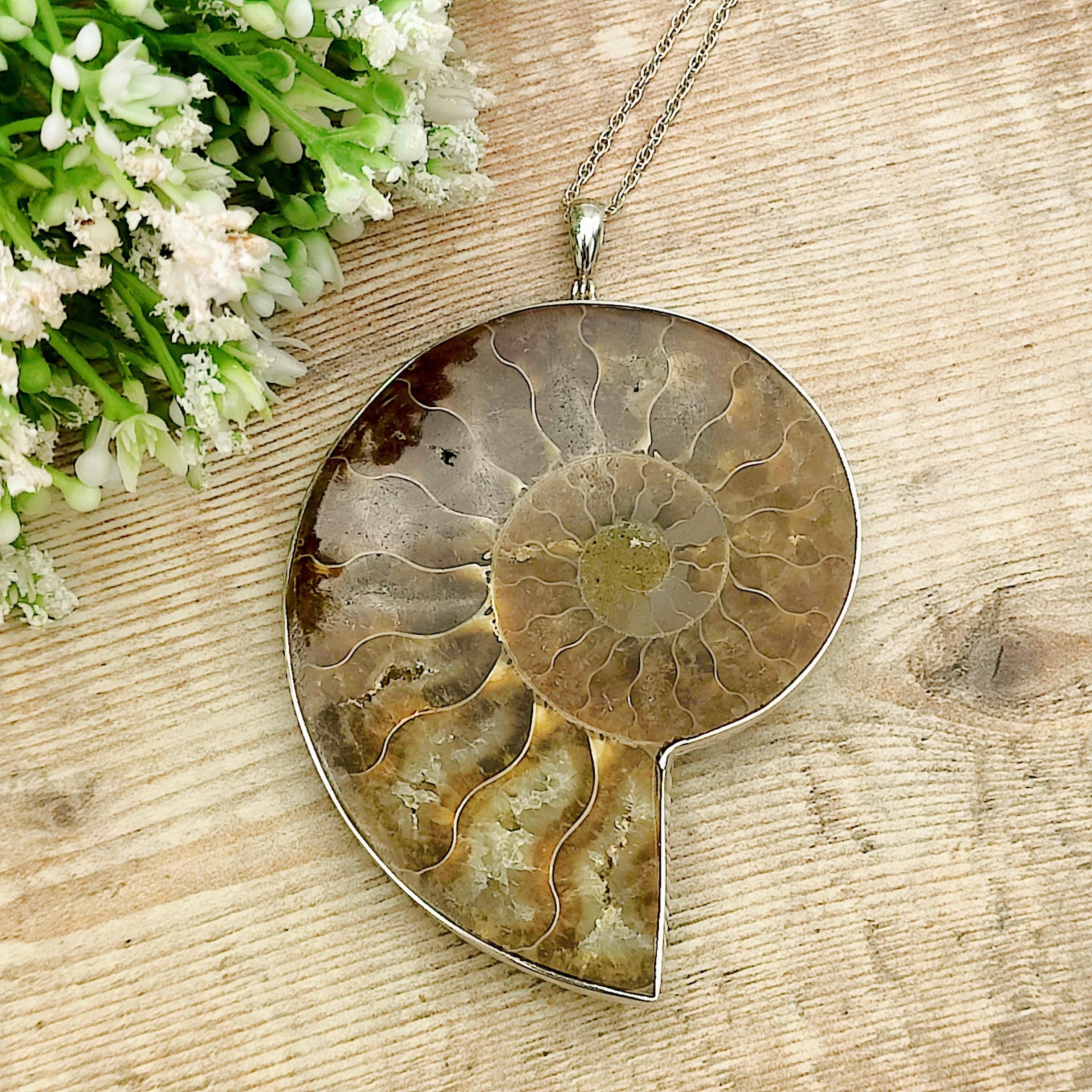 Hepburn and Hughes Ammonite Pendant | Large 76mm Madagascan Fossil | Sterling Silver