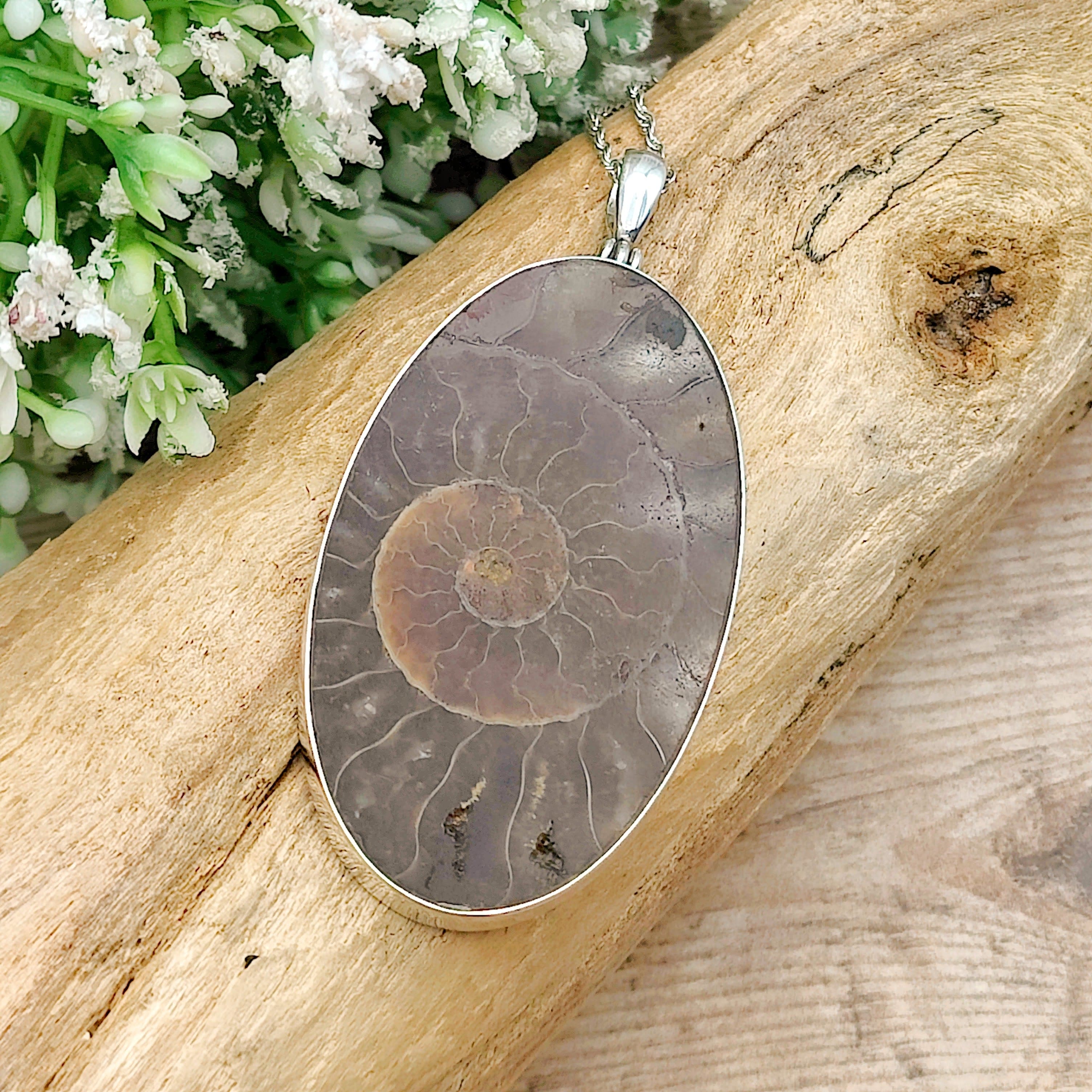 Hepburn and Hughes Ammonite Pendant | Large Oval Fossil Necklace | Four Options | Sterling Silver
