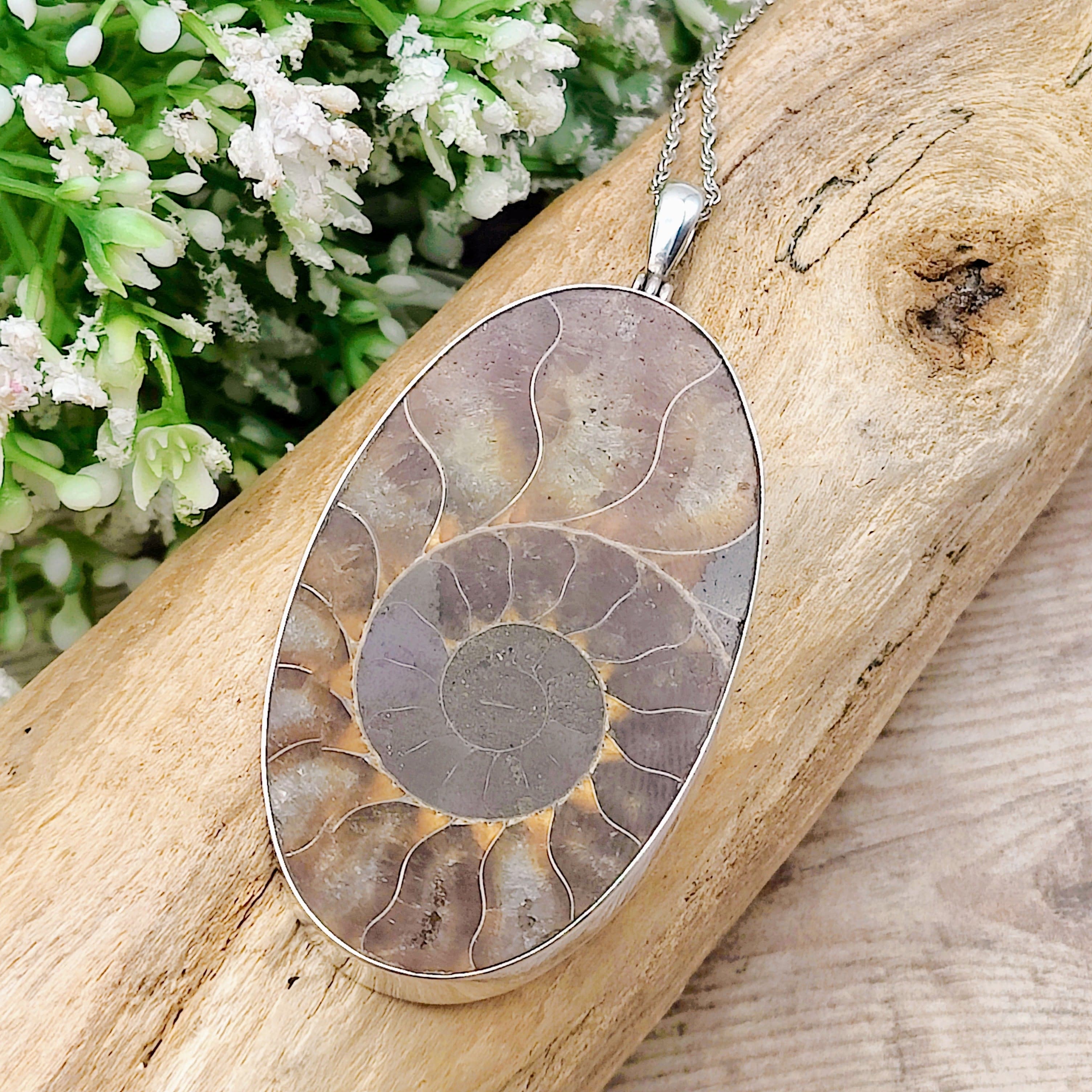Hepburn and Hughes Ammonite Pendant | Large Oval Fossil Necklace | Four Options | Sterling Silver