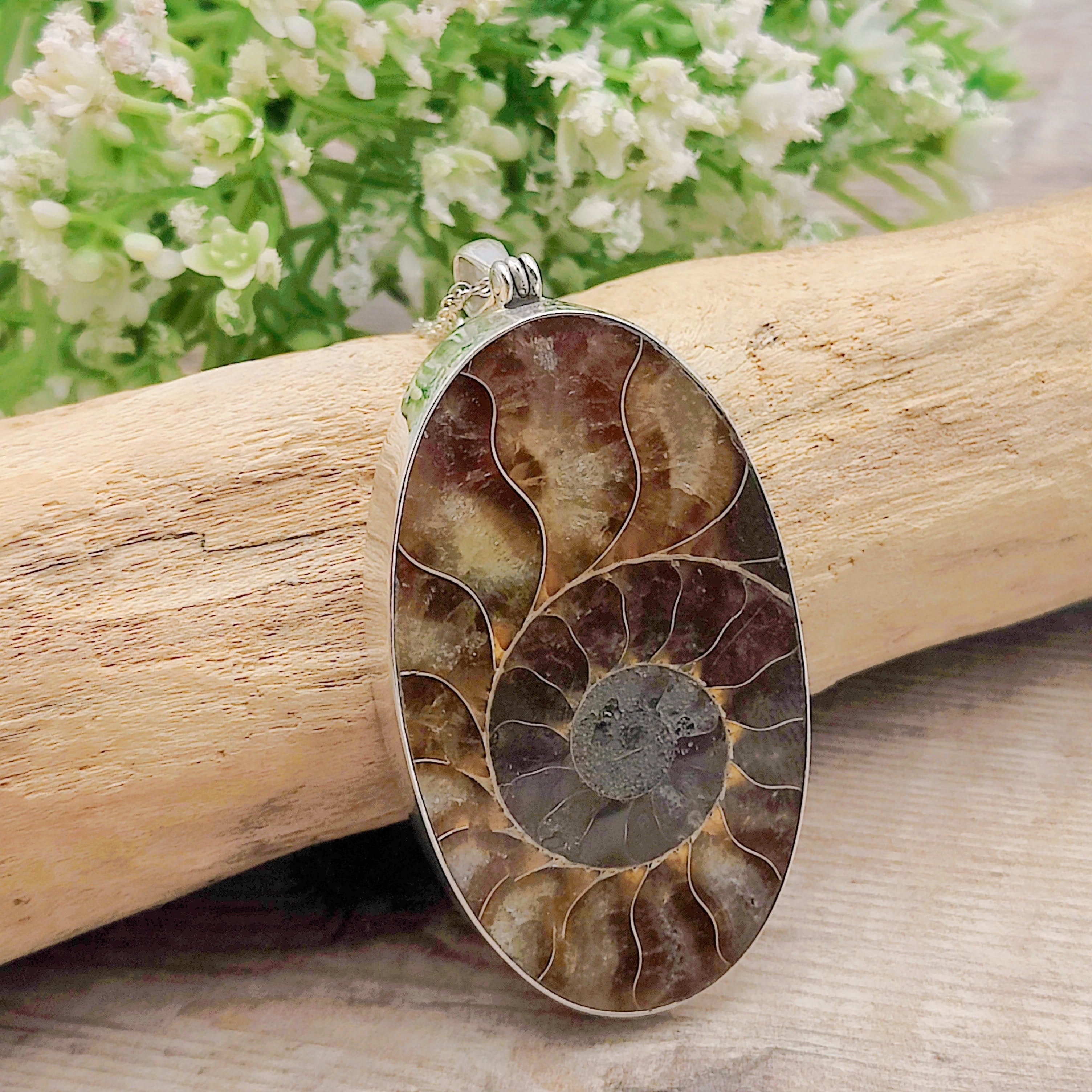 Hepburn and Hughes Ammonite Pendant | Large Oval Fossil Necklace | Four Options | Sterling Silver