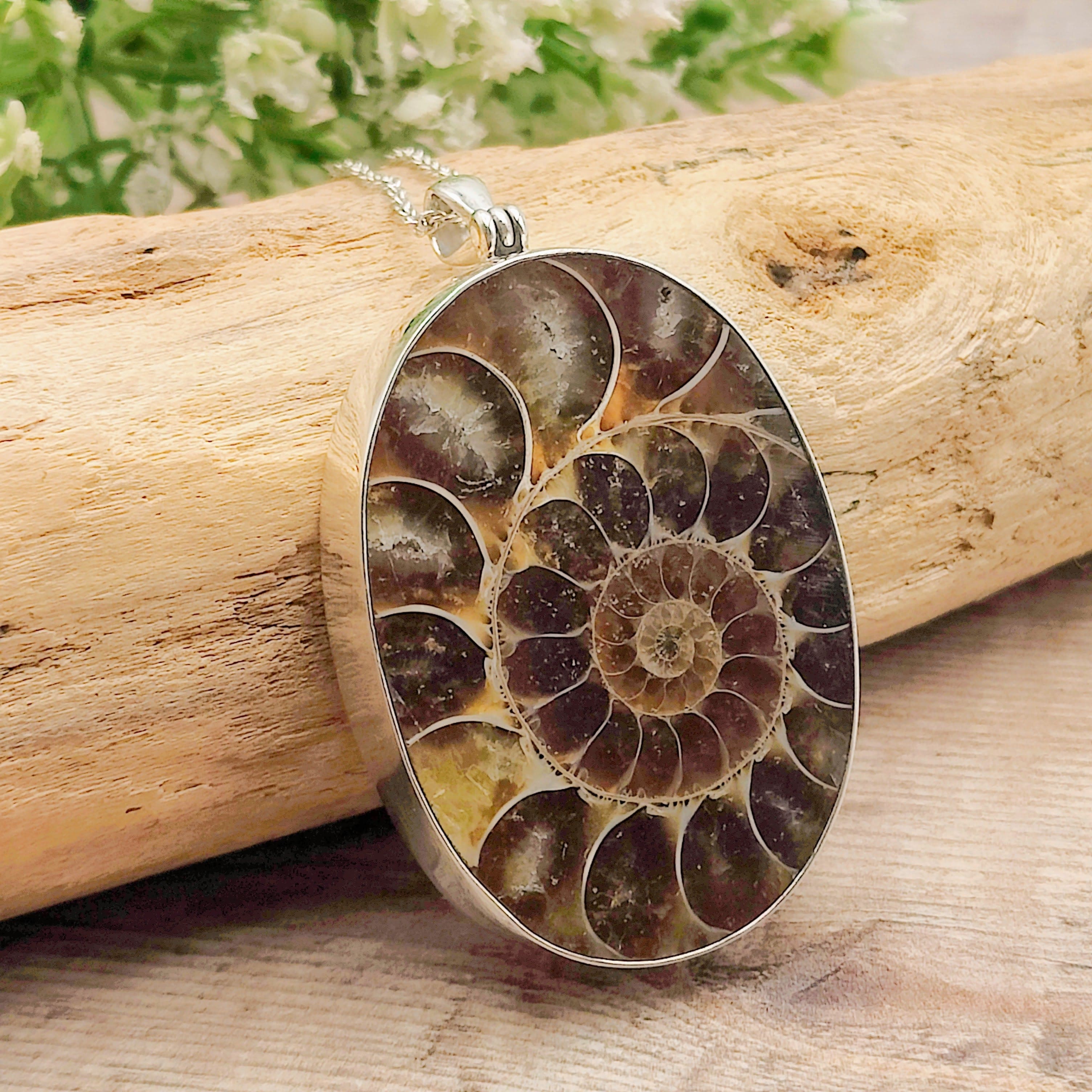 Hepburn and Hughes Ammonite Pendant | Large Oval Fossil Necklace | Four Options | Sterling Silver