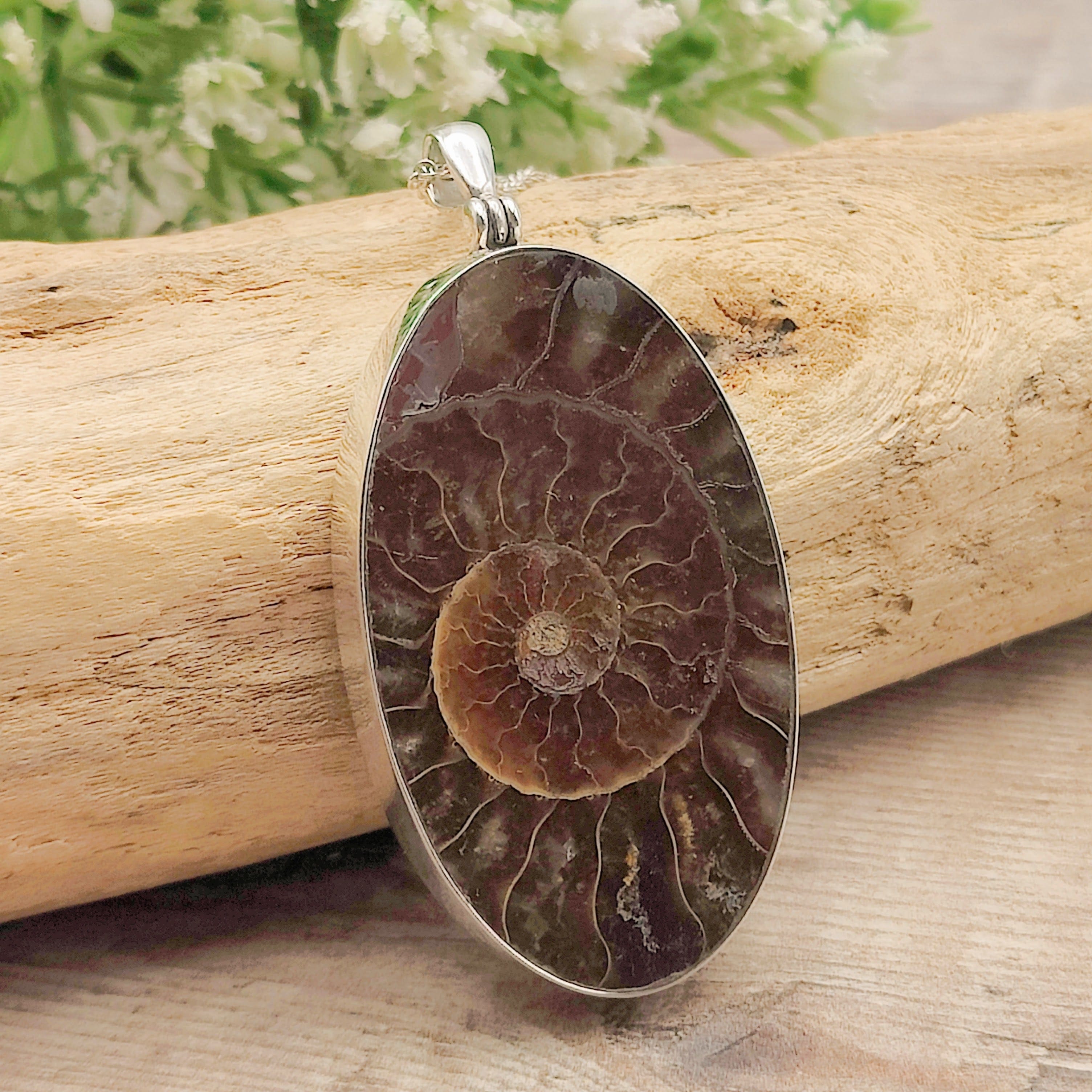 Hepburn and Hughes Ammonite Pendant | Large Oval Fossil Necklace | Four Options | Sterling Silver