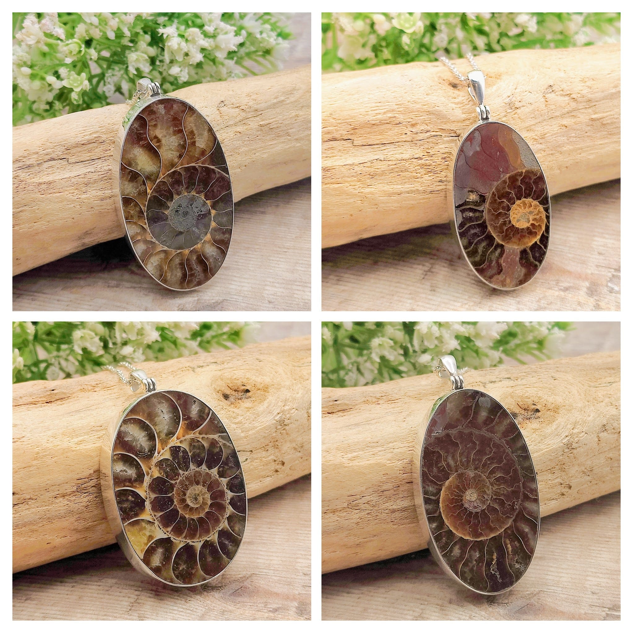 Hepburn and Hughes Ammonite Pendant | Large Oval Fossil Necklace | Four Options | Sterling Silver