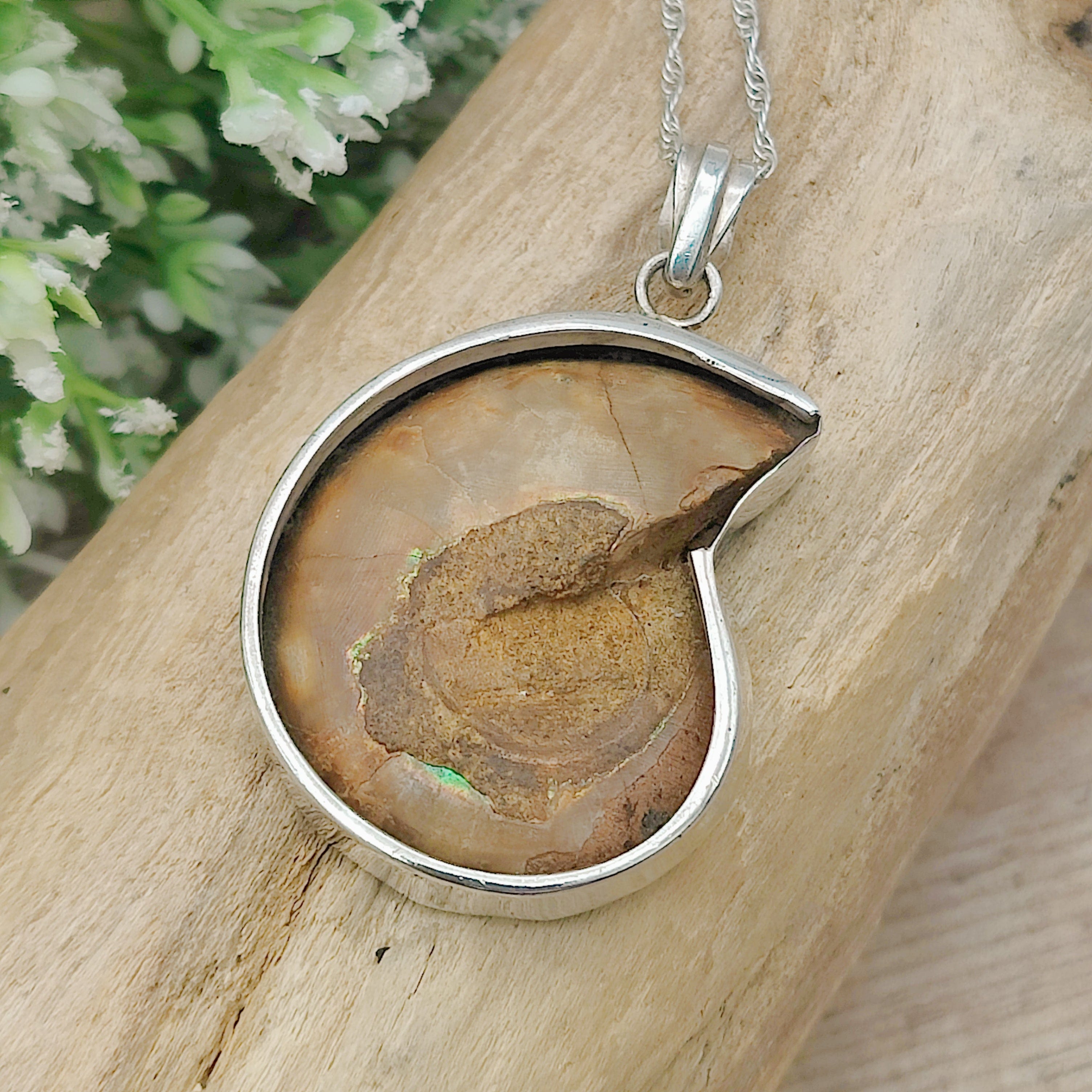 Hepburn and Hughes Ammonite Pendant | Madagascan Fossil Gift | Sterling Silver