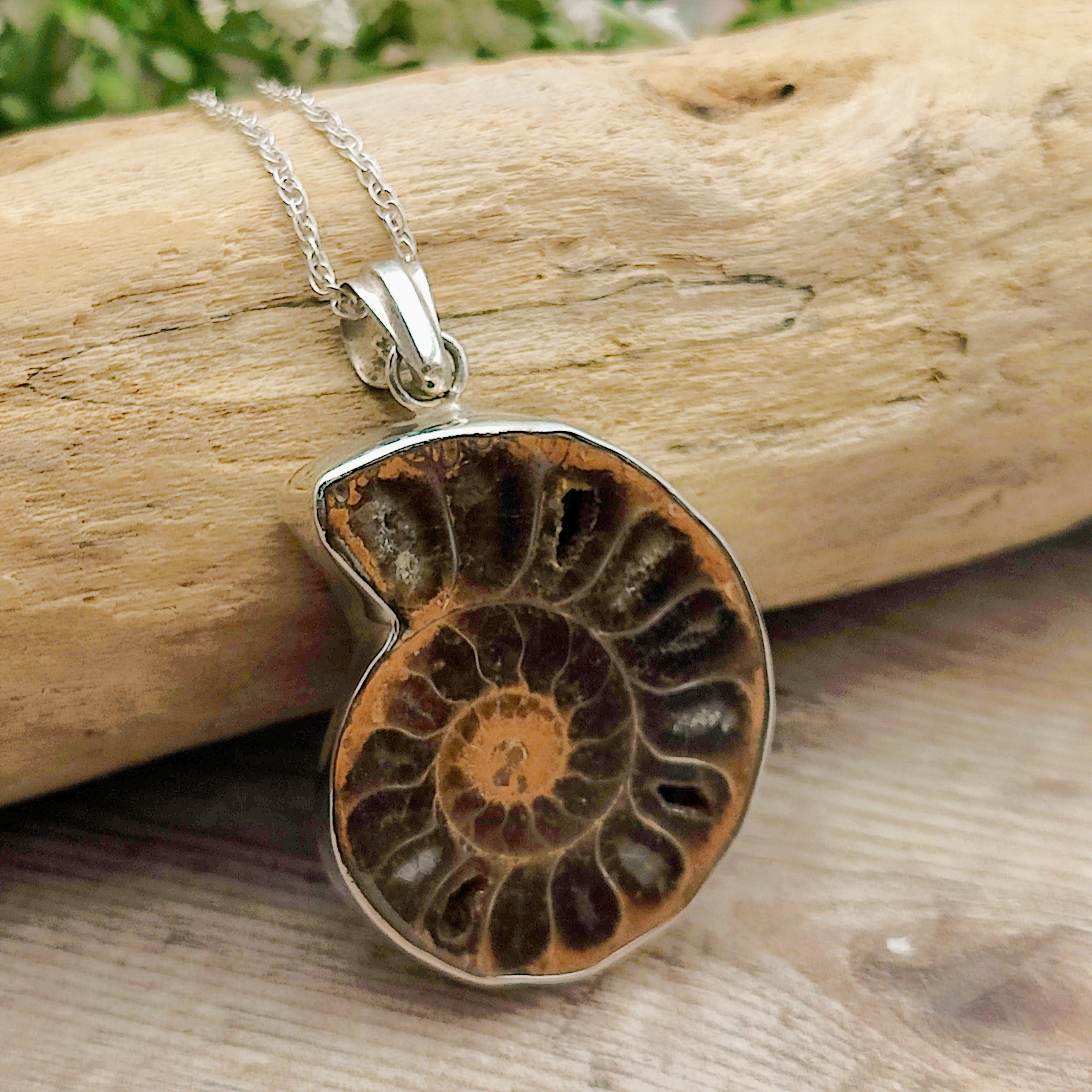Hepburn and Hughes Ammonite Pendant | Madagascan Fossil Gift | Sterling Silver
