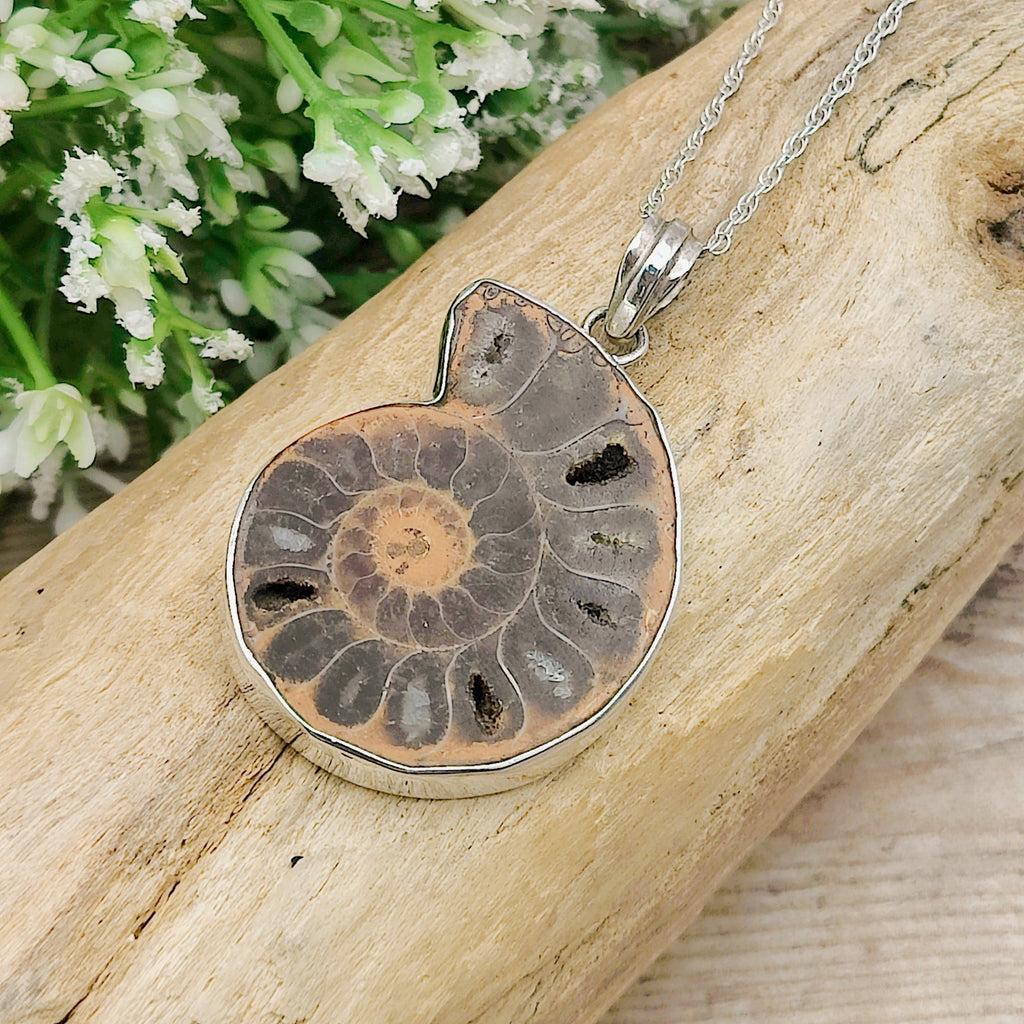 Hepburn and Hughes Ammonite Pendant | Madagascan Fossil Gift | Sterling Silver