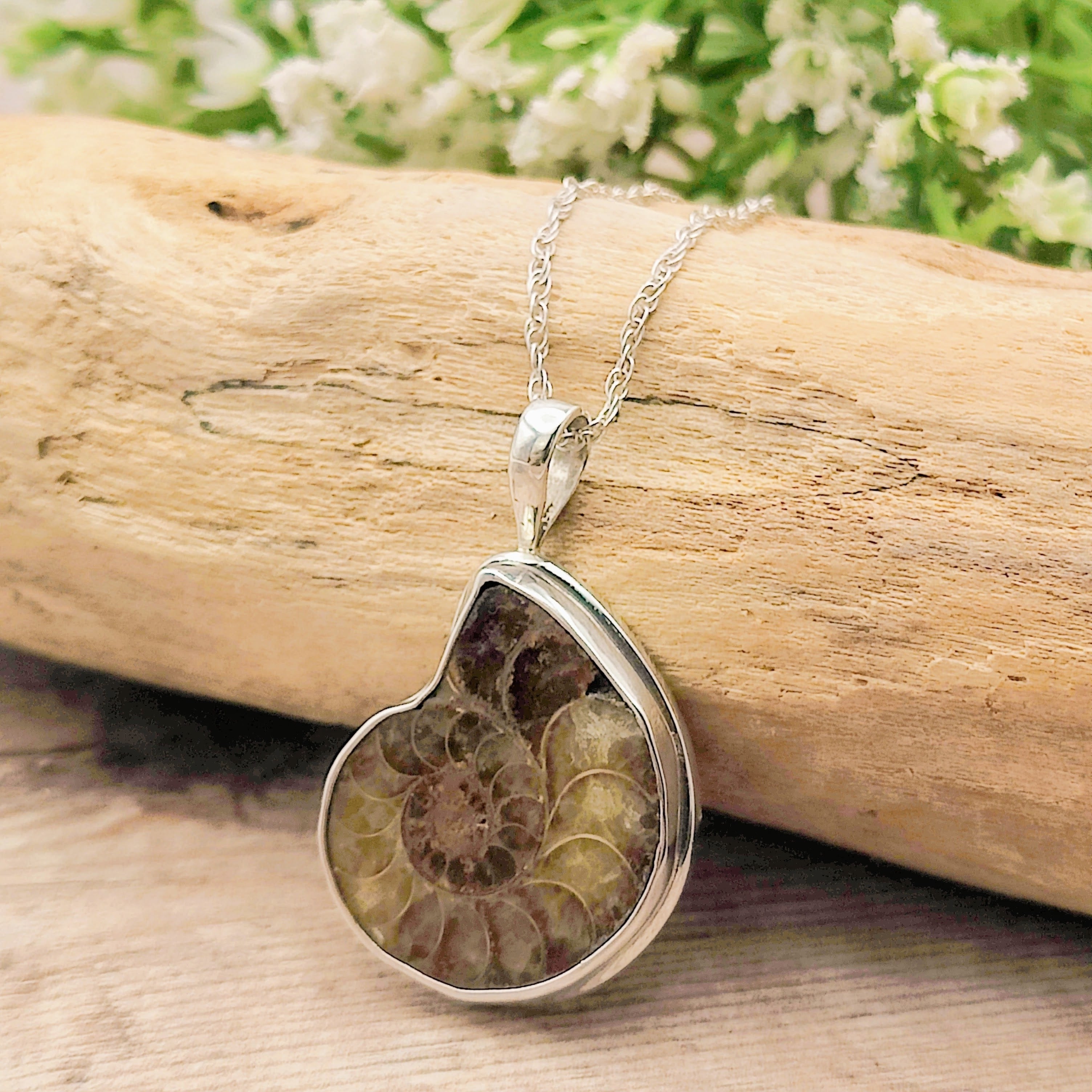 Hepburn and Hughes Ammonite Pendant, Medium Madagascan in Sterling Silver