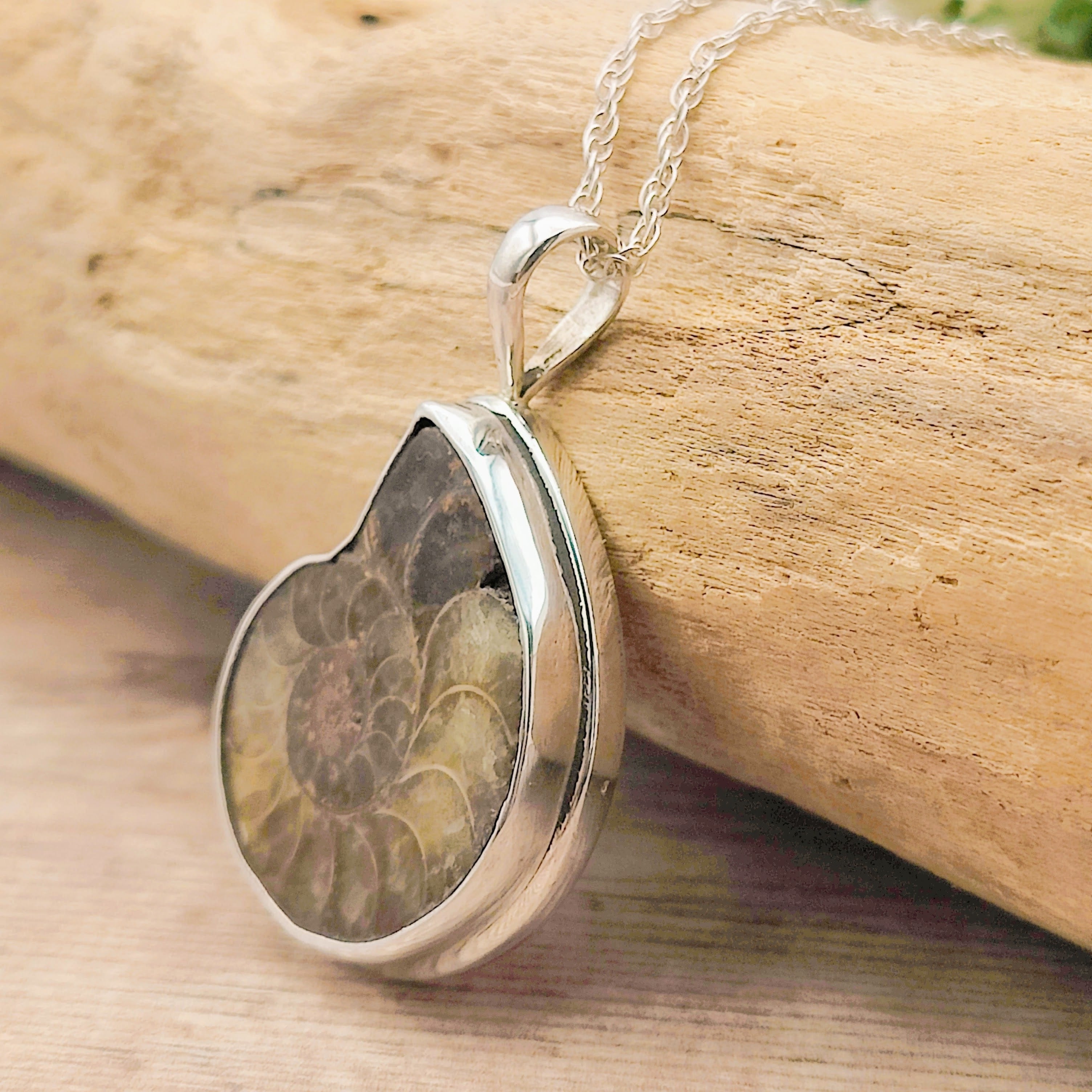 Hepburn and Hughes Ammonite Pendant, Medium Madagascan in Sterling Silver