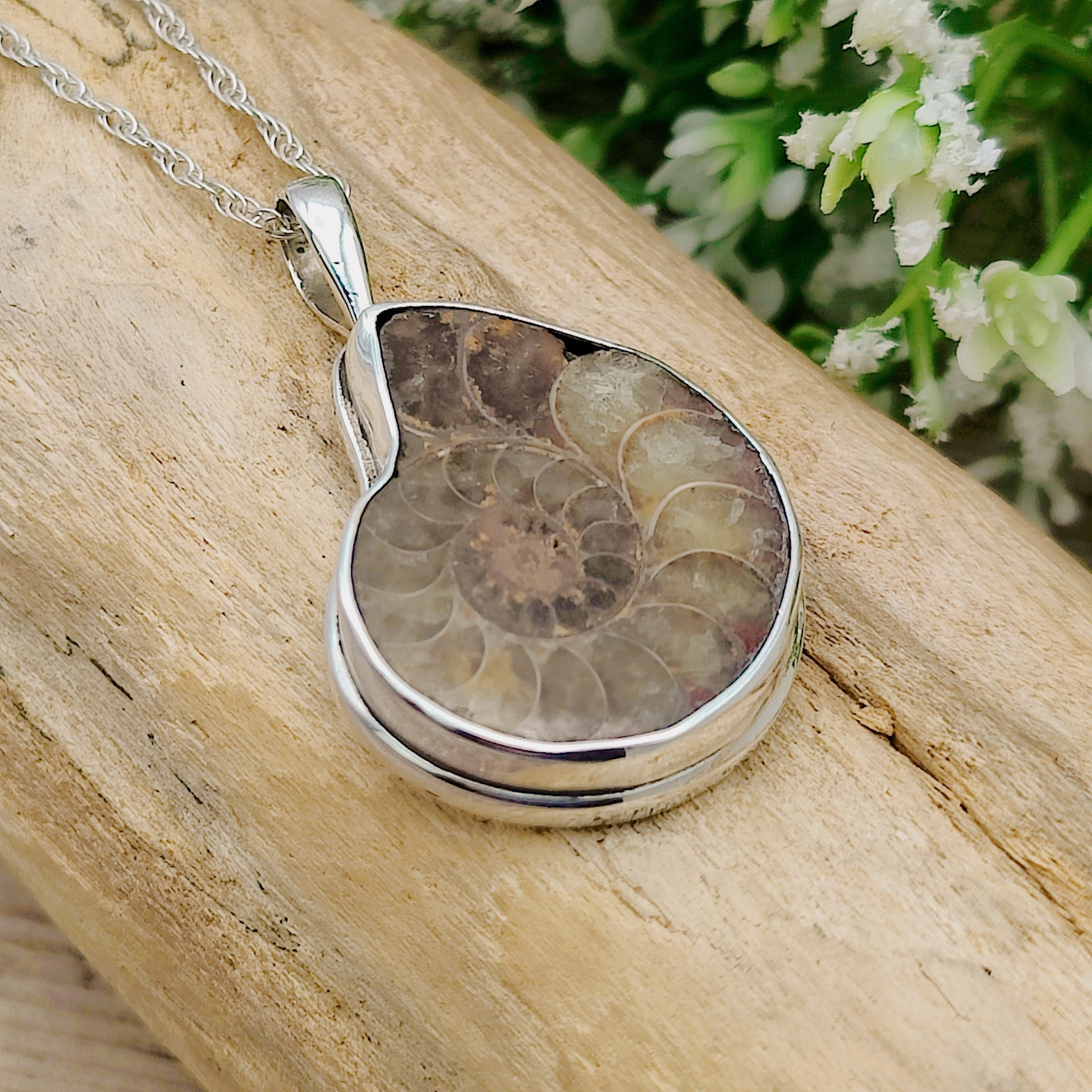 Hepburn and Hughes Ammonite Pendant, Medium Madagascan in Sterling Silver