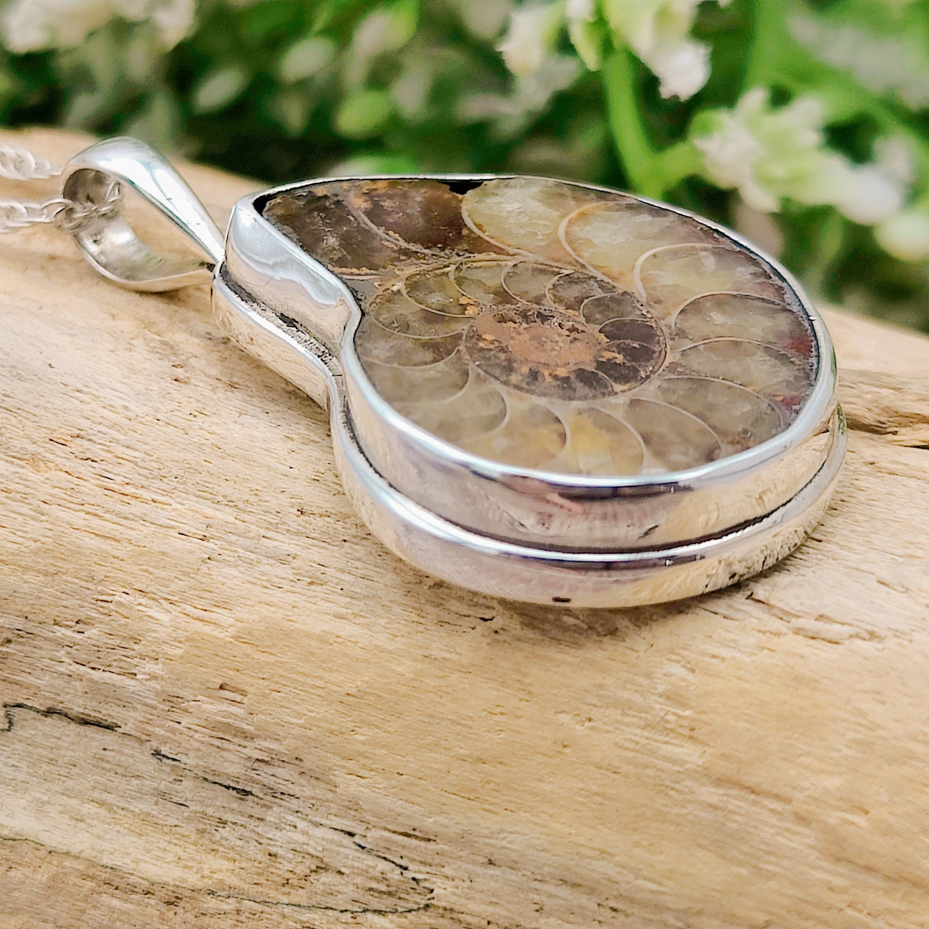 Hepburn and Hughes Ammonite Pendant, Medium Madagascan in Sterling Silver