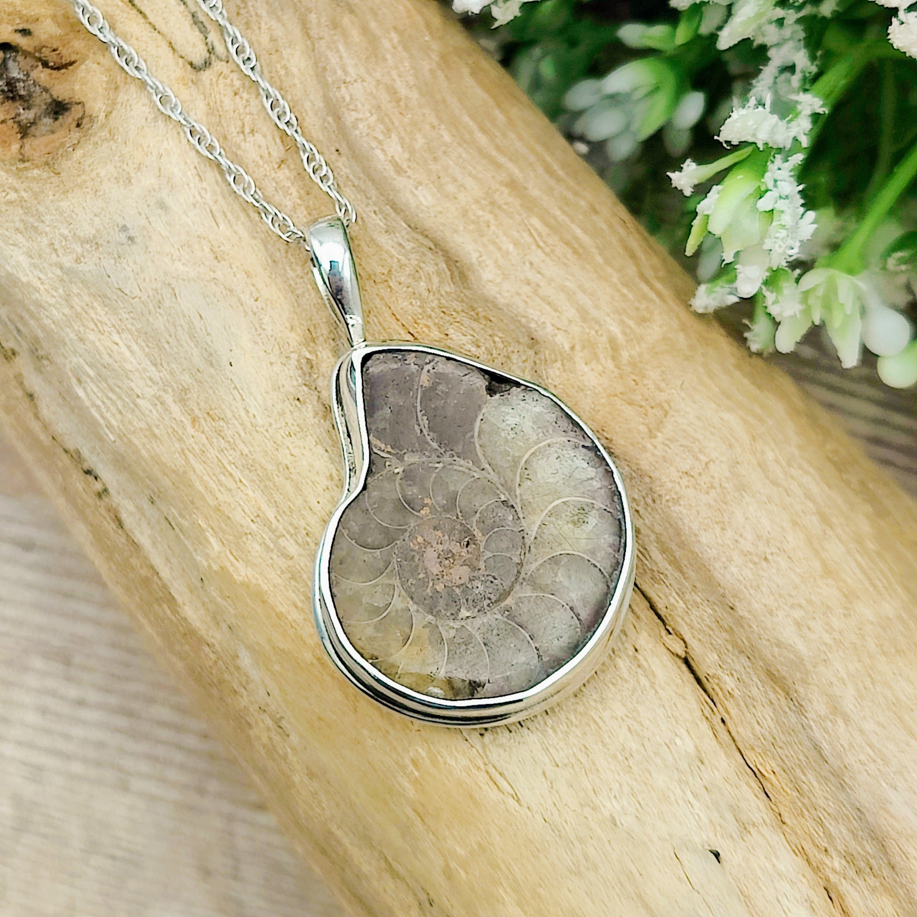 Hepburn and Hughes Ammonite Pendant, Medium Madagascan in Sterling Silver