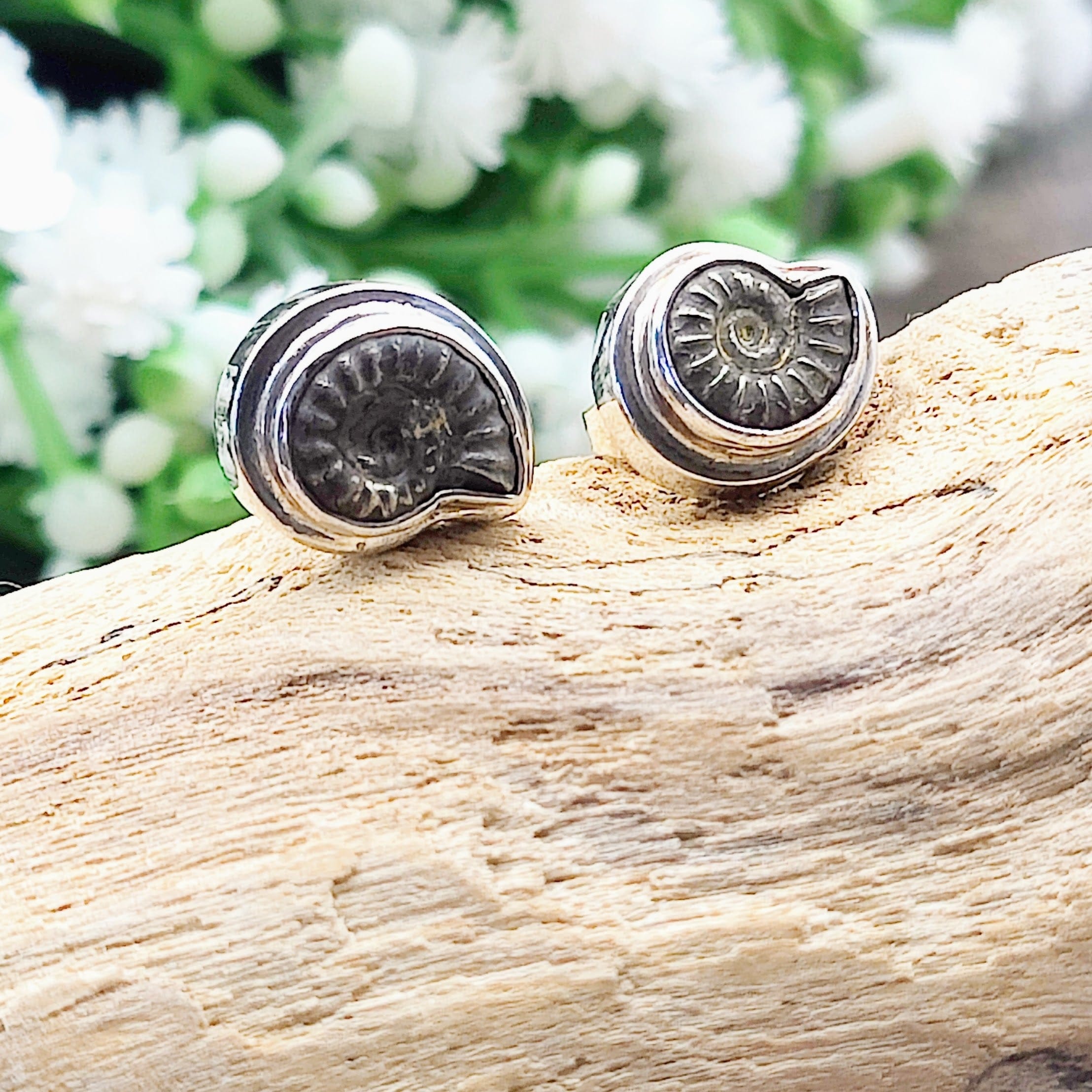 Hepburn and Hughes Ammonite Promicroceras Earrings | Fossil Earrings | Sterling Silver