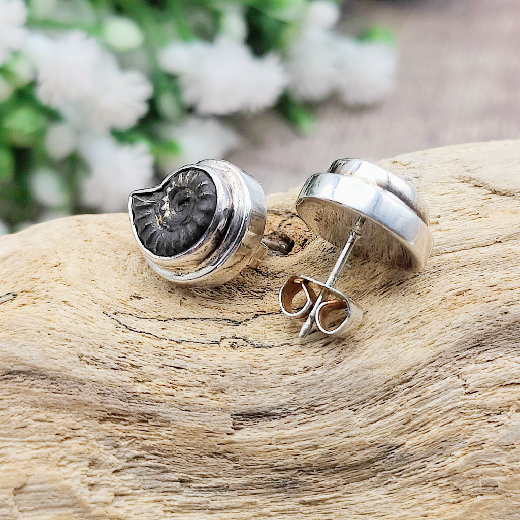 Hepburn and Hughes Ammonite Promicroceras Earrings | Fossil Earrings | Sterling Silver