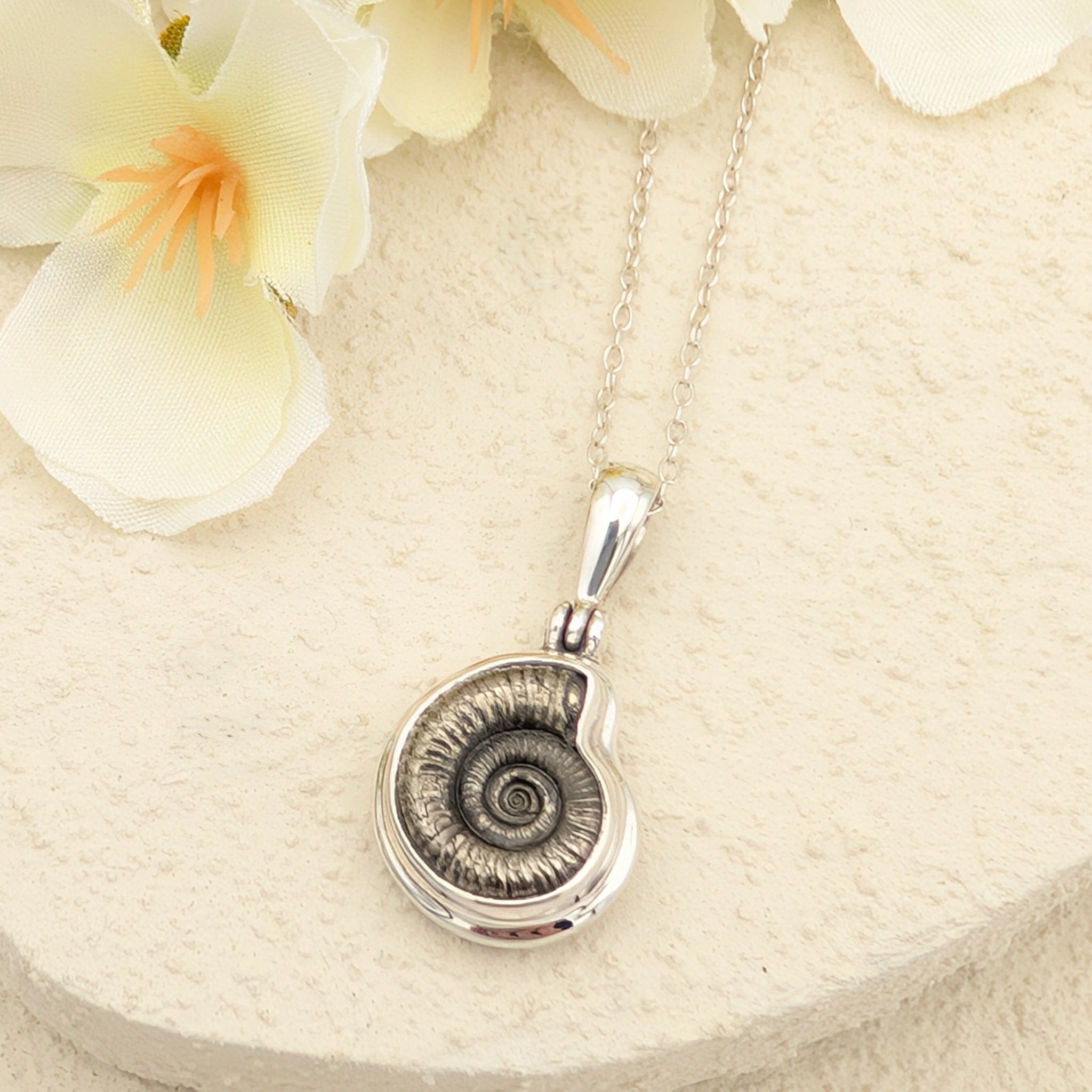 Hepburn and Hughes Ammonite Promicroceras Pendant | 14mm Fossil Necklace | Geology Gift | Sterling Silver