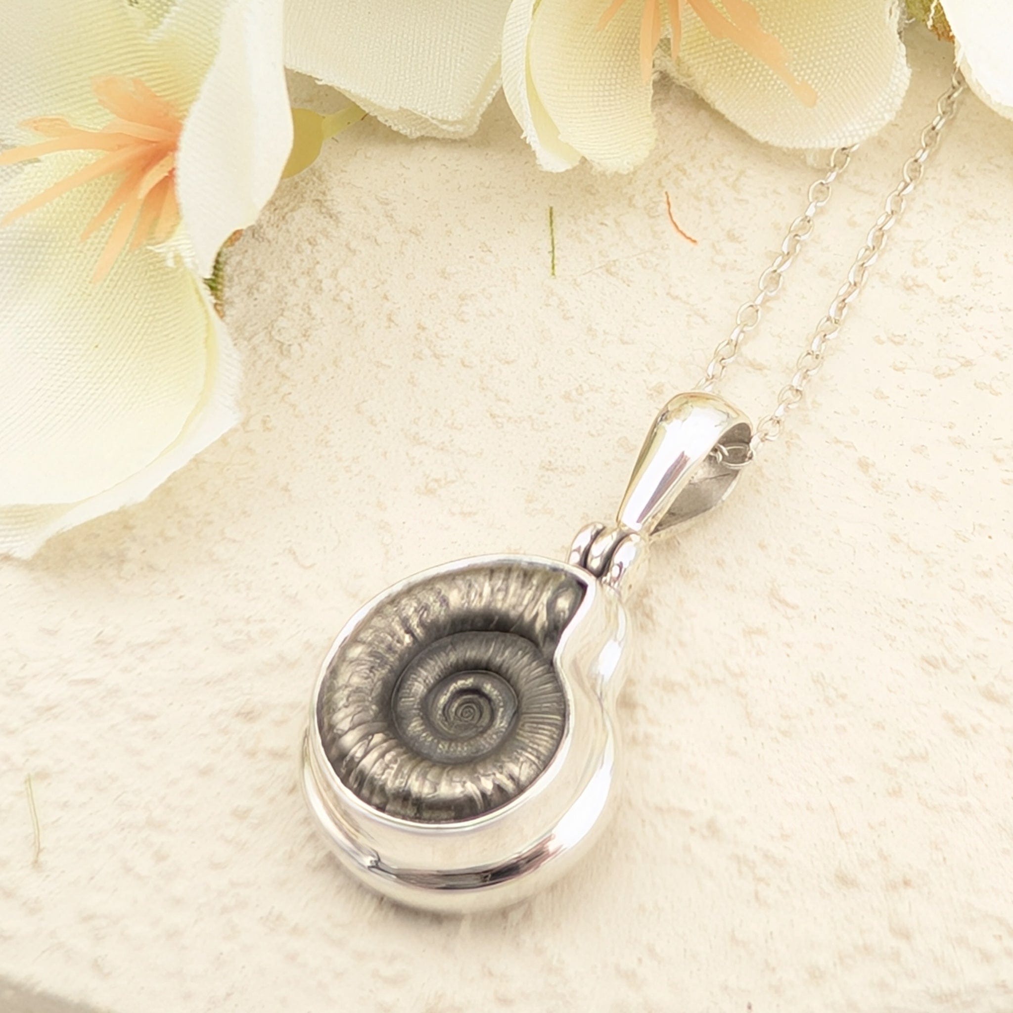 Hepburn and Hughes Ammonite Promicroceras Pendant | 14mm Fossil Necklace | Geology Gift | Sterling Silver