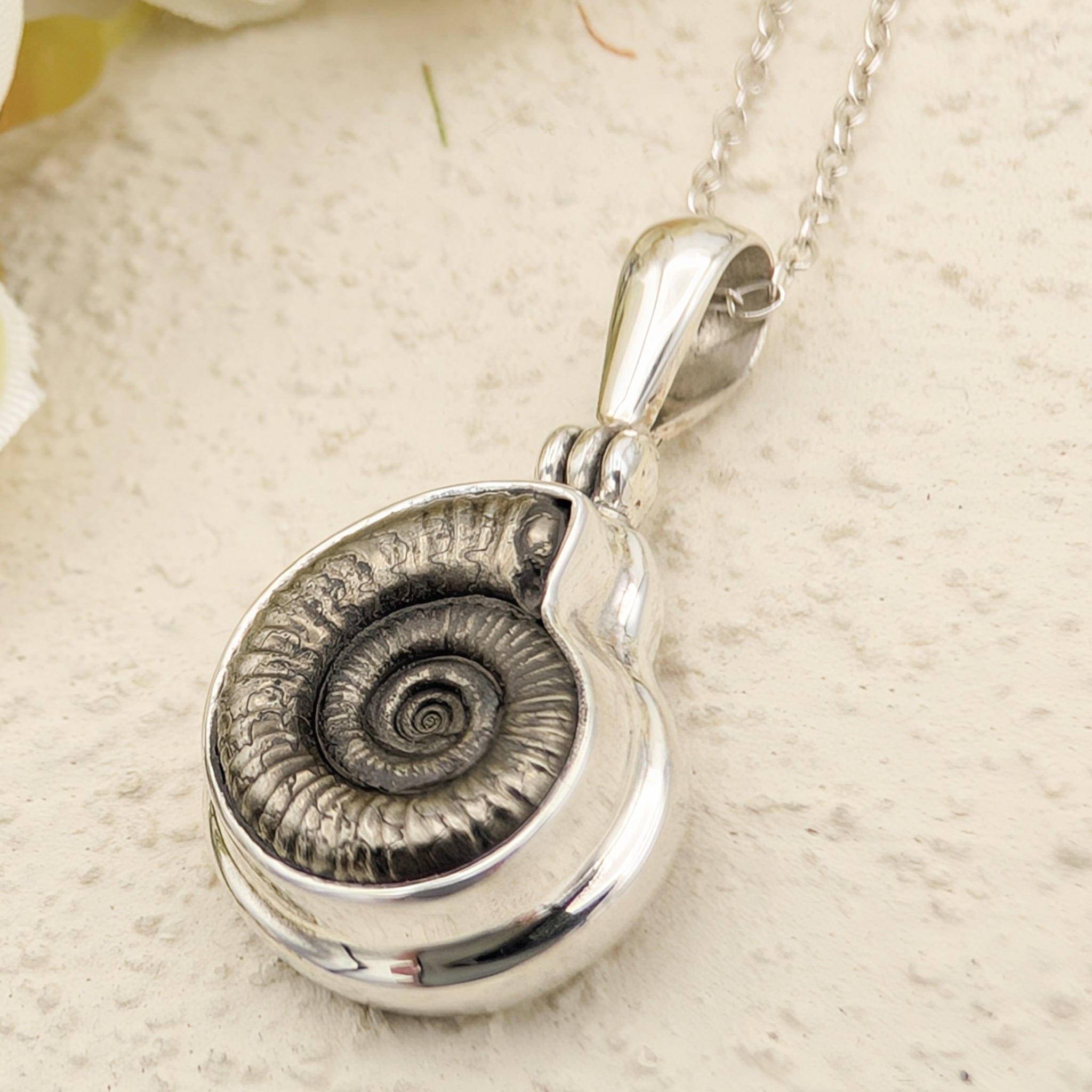 Hepburn and Hughes Ammonite Promicroceras Pendant | 14mm Fossil Necklace | Geology Gift | Sterling Silver