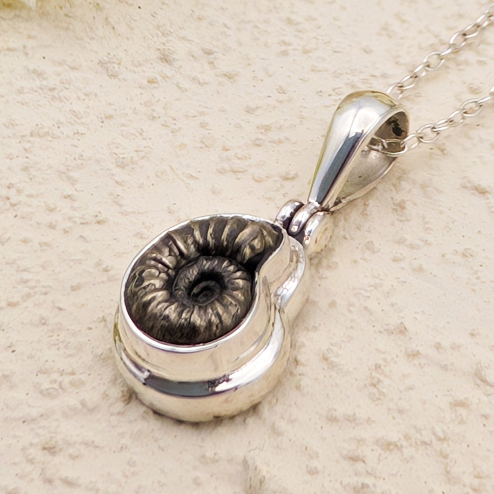 Hepburn and Hughes Ammonite Promicroceras Pendant | Extra Small Limited edition | Sterling Silver