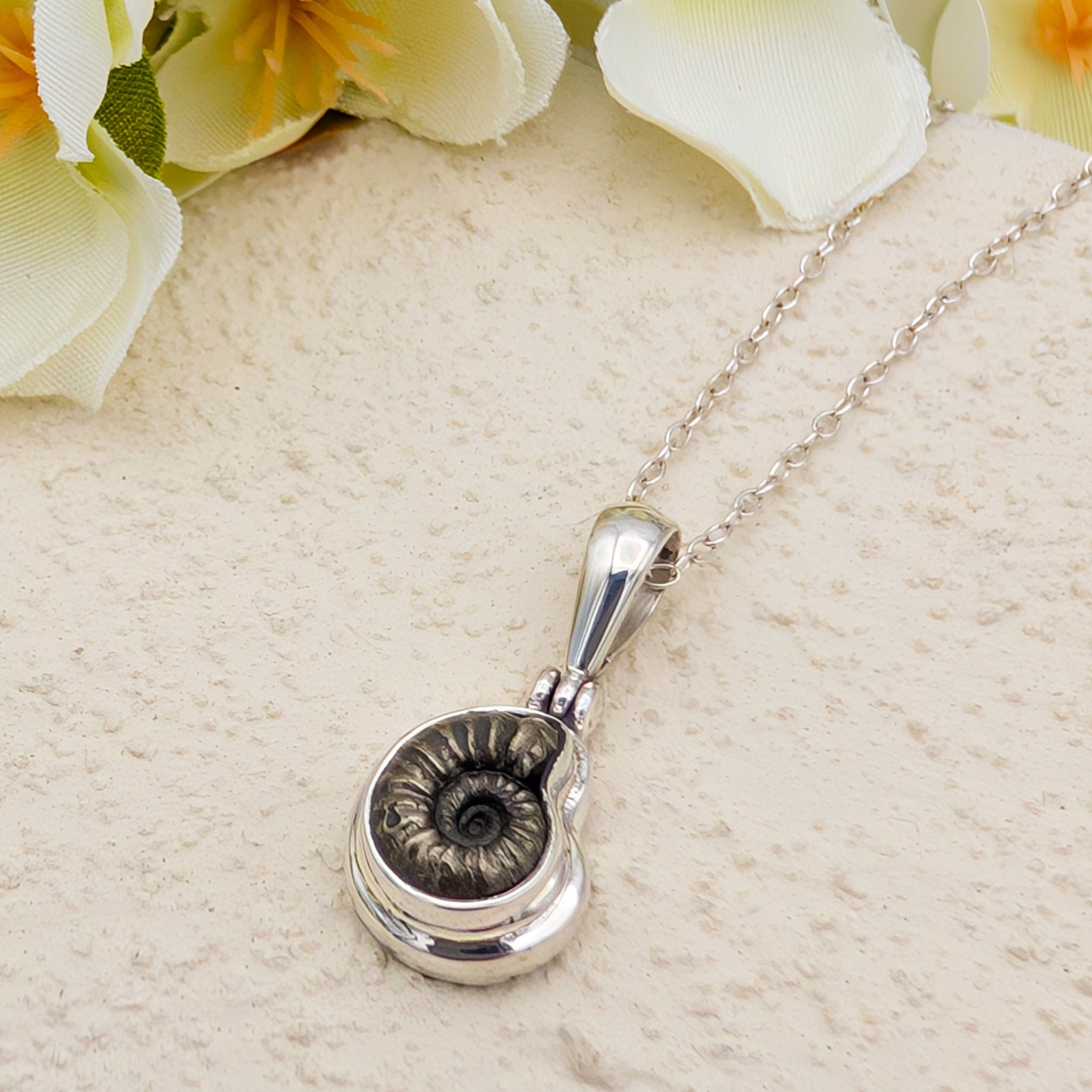 Hepburn and Hughes Ammonite Promicroceras Pendant | Extra Small Limited edition | Sterling Silver