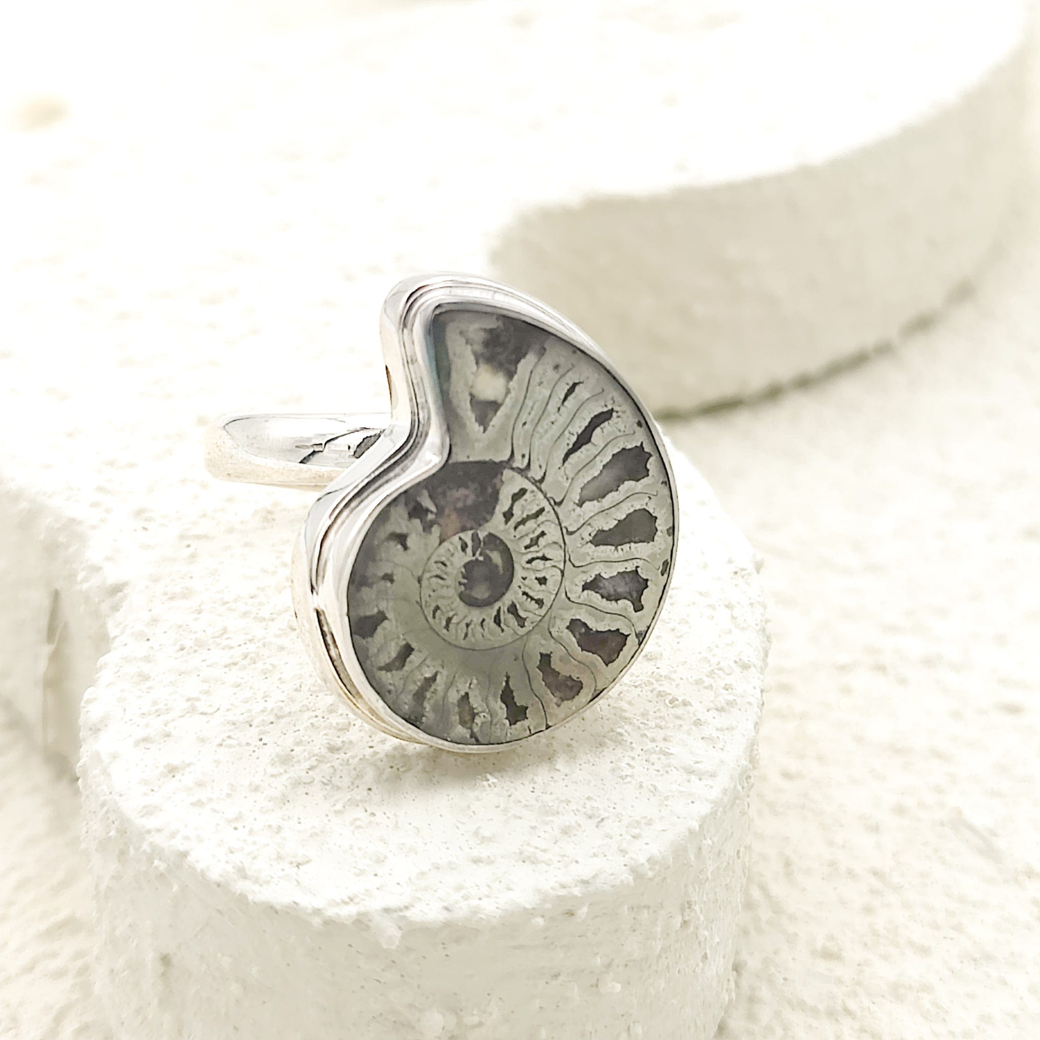 Hepburn and Hughes Ammonite Ring | Pyrite Ammonite Ring | Sterling Silver