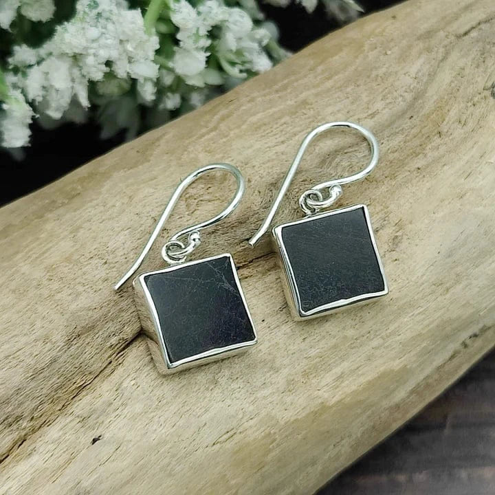 dinosaur bone earrings