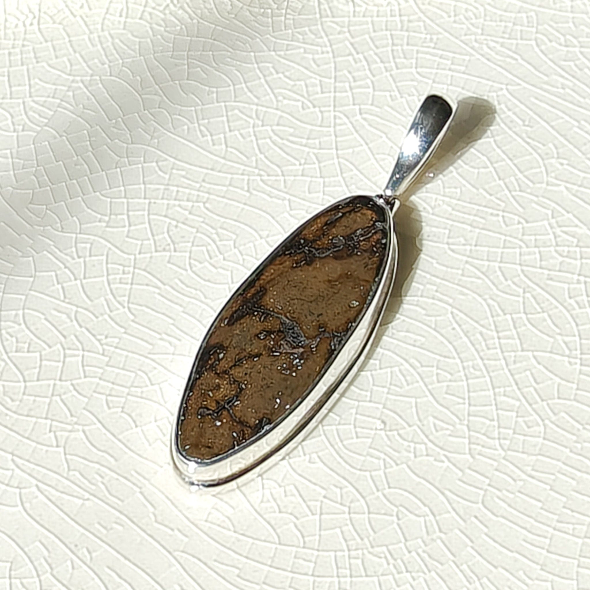 Hepburn and Hughes Dinosaur Bone Pendant | Fossilised Iguanodon | 35mm Slim Oval | Sterling Silver