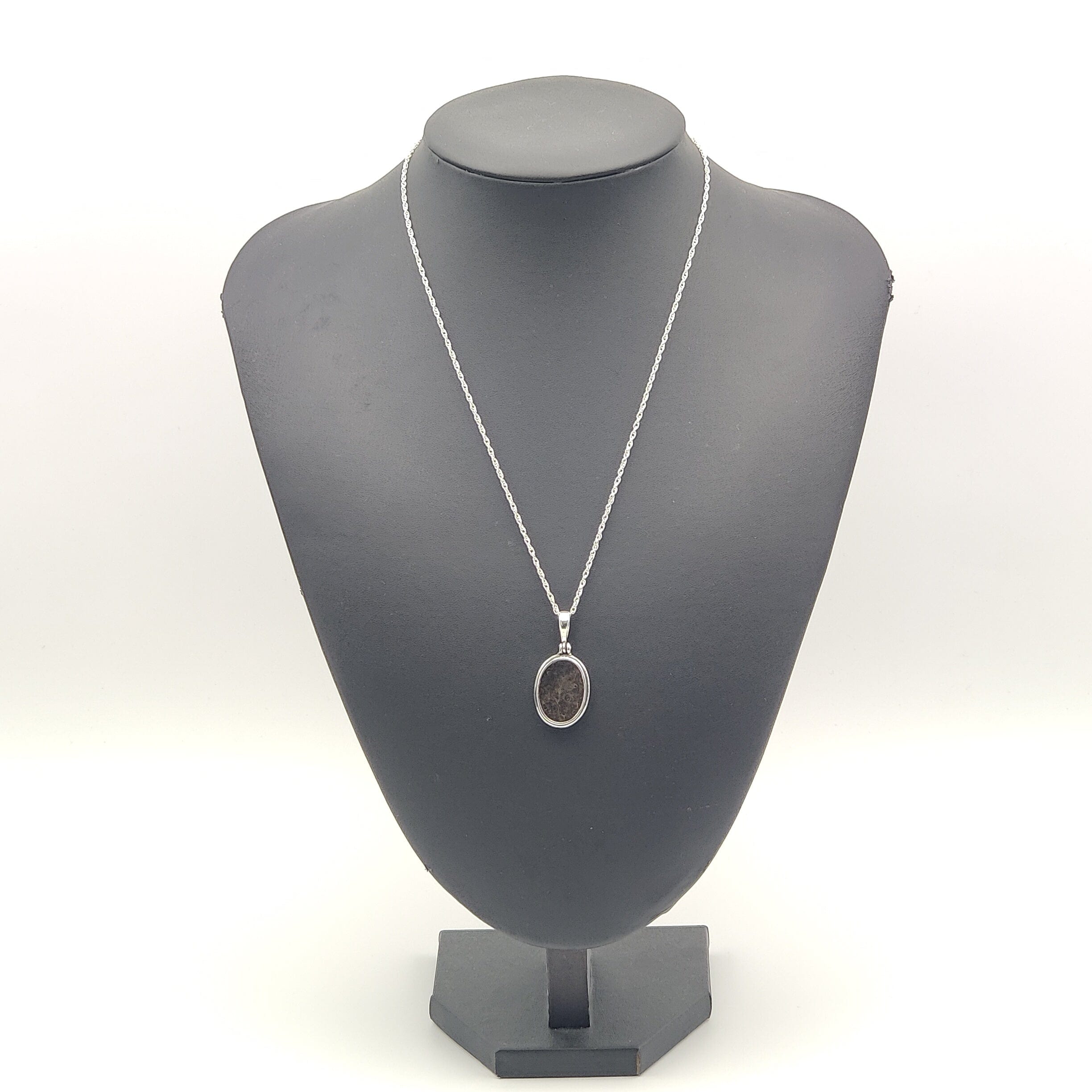 Hepburn and Hughes Dinosaur Bone Pendant | Fossilised Iguanodon | Double Bezel Oval | Sterling Silver