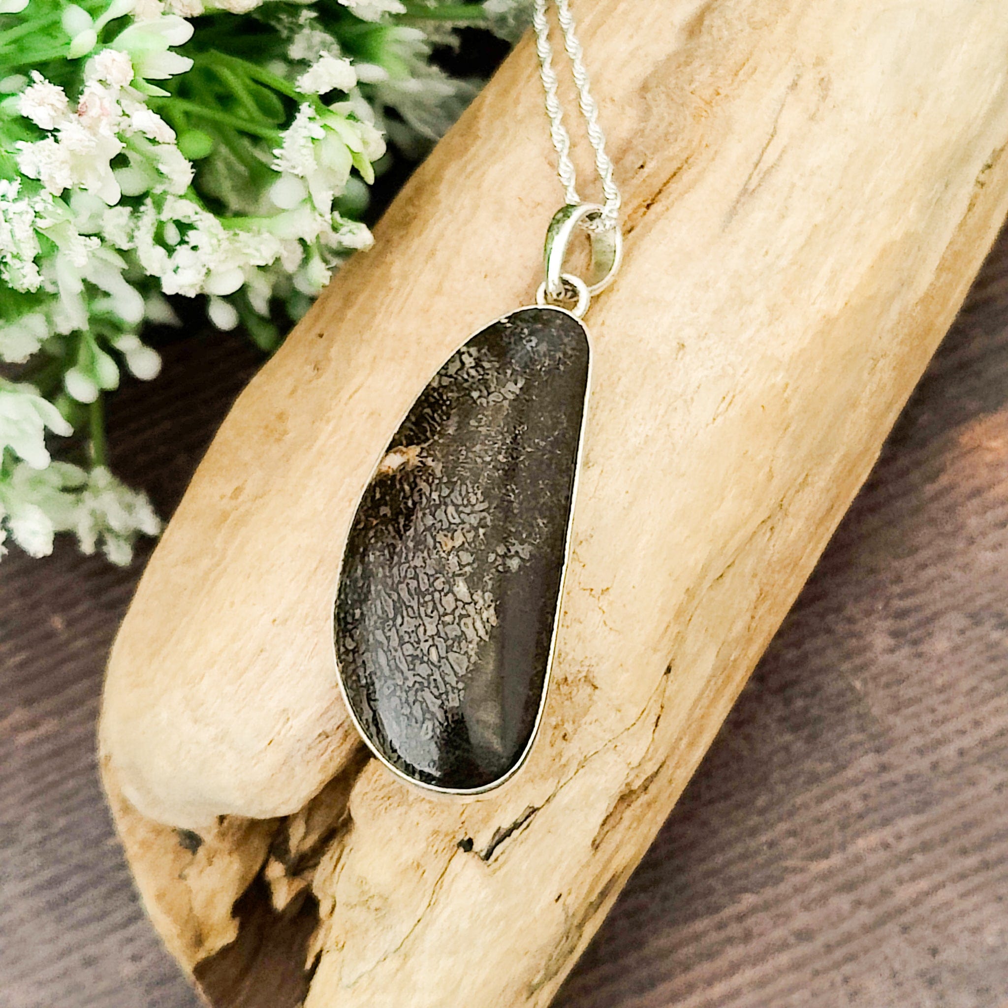 Hepburn and Hughes Dinosaur Fossil Pendant | Fossilised Brontosaurus Necklace | 30mm Curved | Sterling Silver
