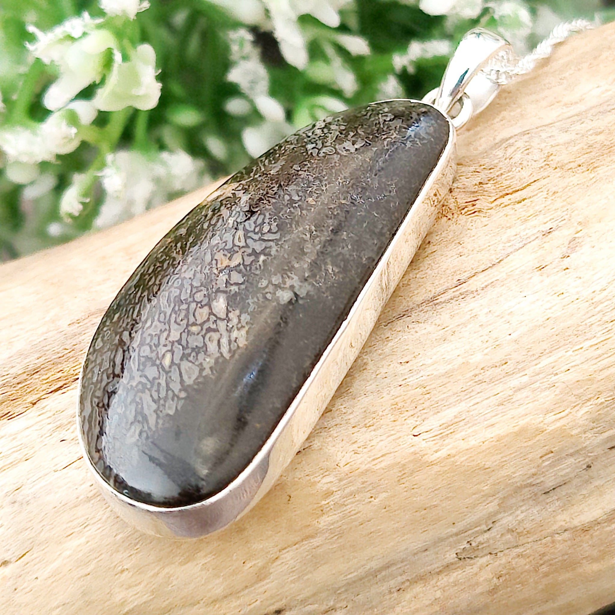 Hepburn and Hughes Dinosaur Fossil Pendant | Fossilised Brontosaurus Necklace | 30mm Curved | Sterling Silver