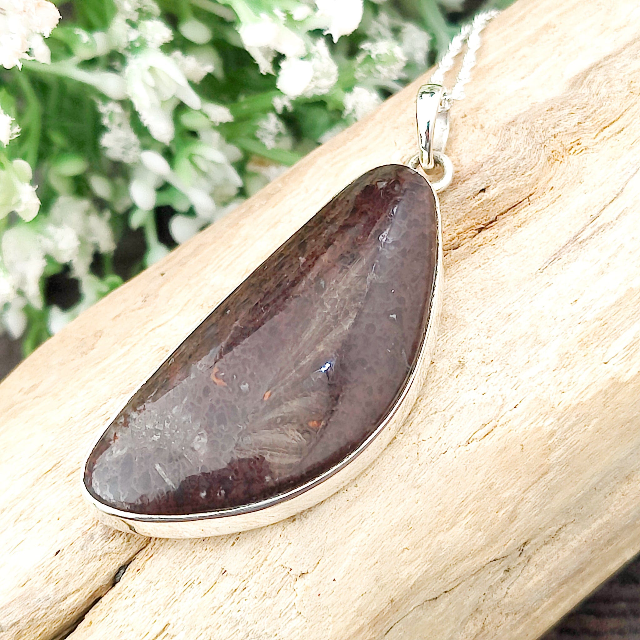 Hepburn and Hughes Dinosaur Fossil Pendant | Fossilised Brontosaurus Necklace | 30mm Curved | Sterling Silver