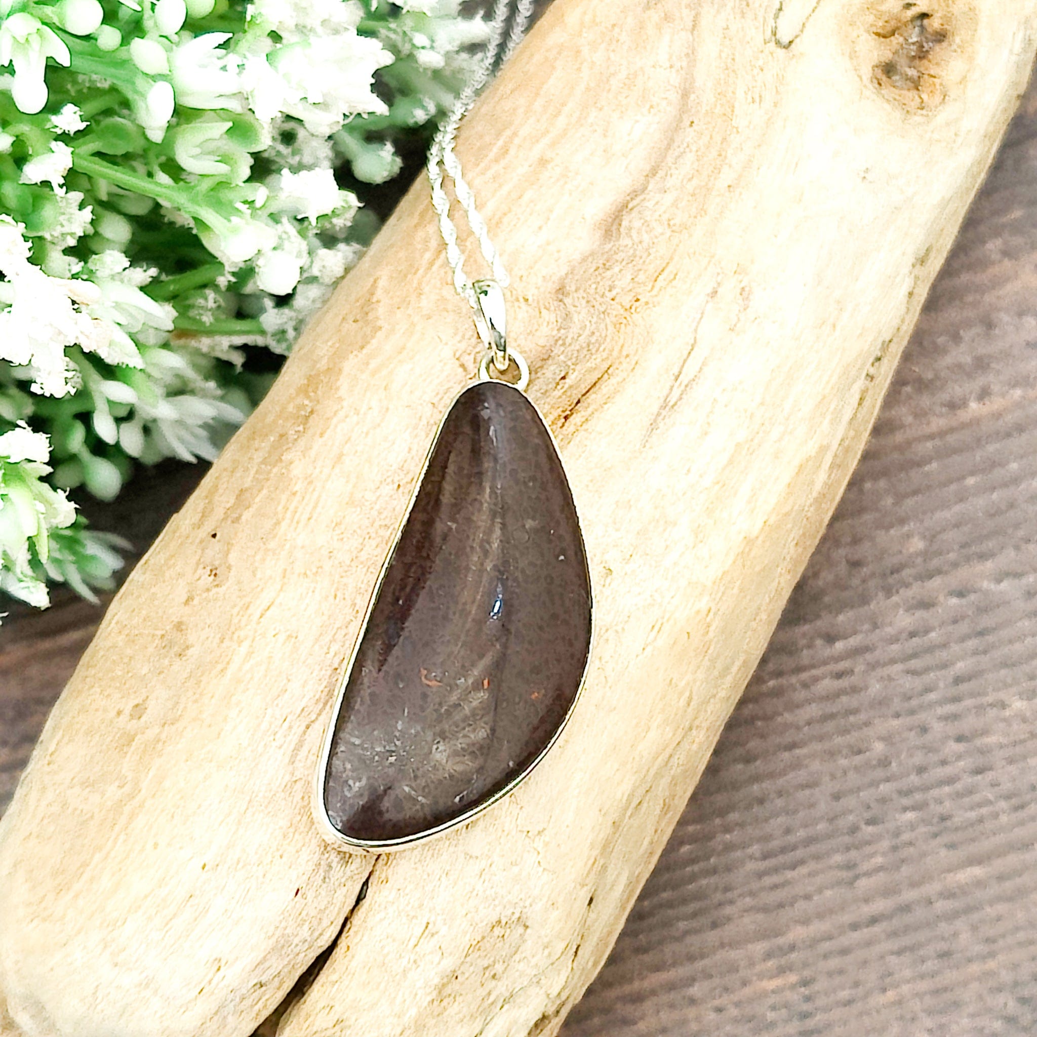 Hepburn and Hughes Dinosaur Fossil Pendant | Fossilised Brontosaurus Necklace | 30mm Curved | Sterling Silver