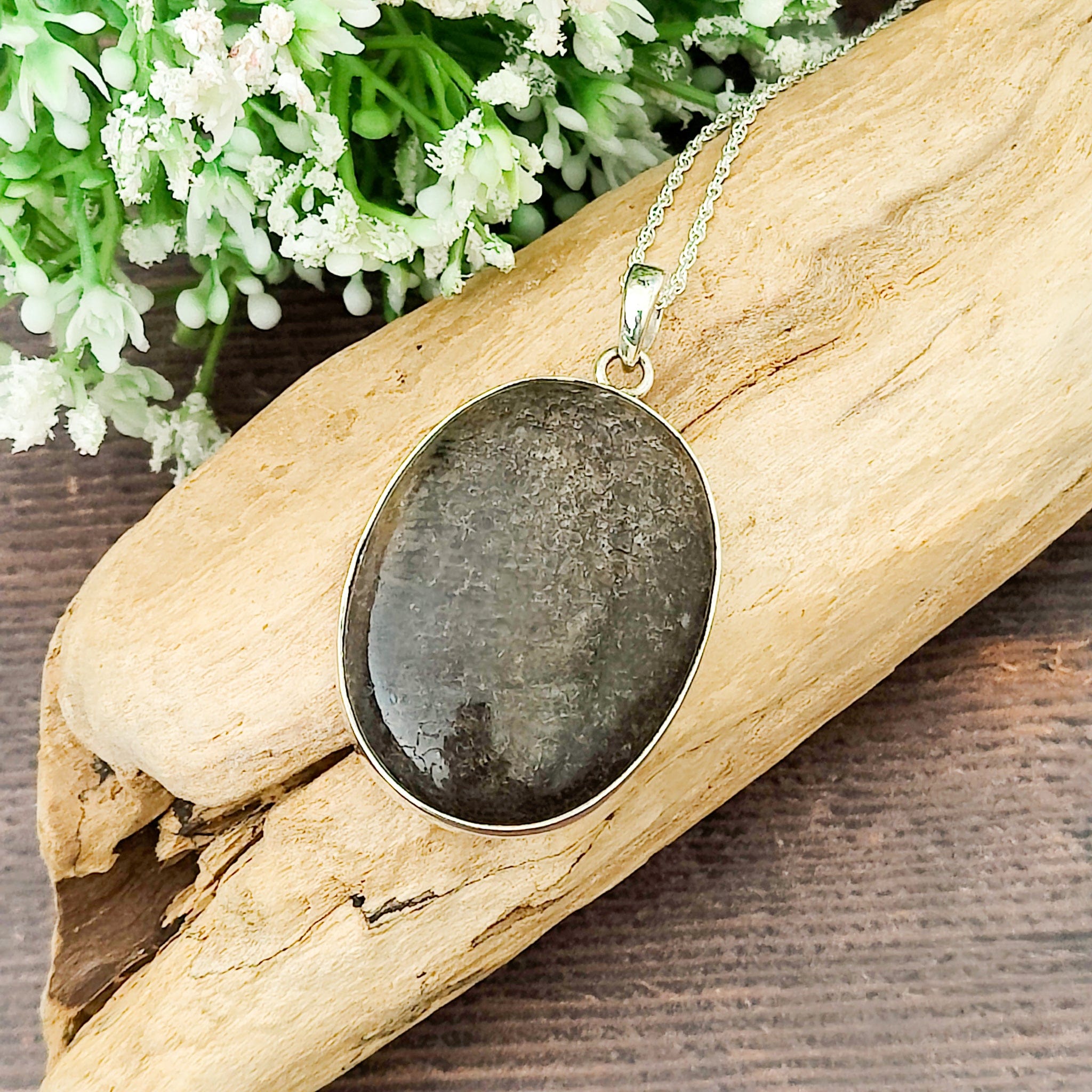 Hepburn and Hughes Dinosaur Fossil Pendant | Fossilised Brontosaurus Necklace | Large Oval | Sterling Silver