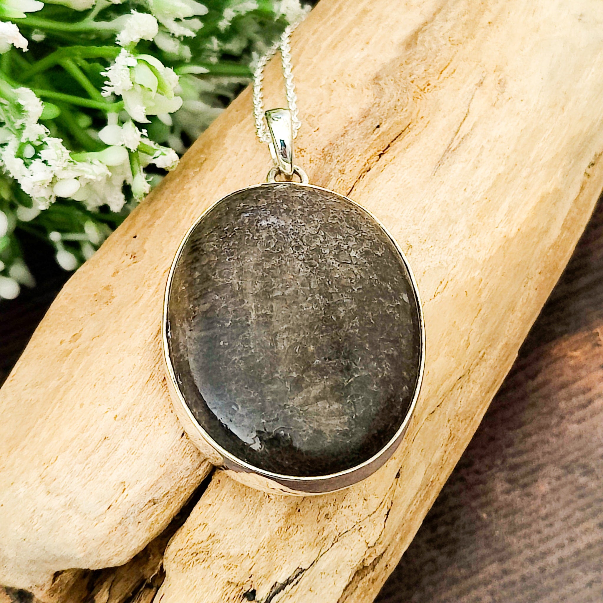 Hepburn and Hughes Dinosaur Fossil Pendant | Fossilised Brontosaurus Necklace | Large Oval | Sterling Silver