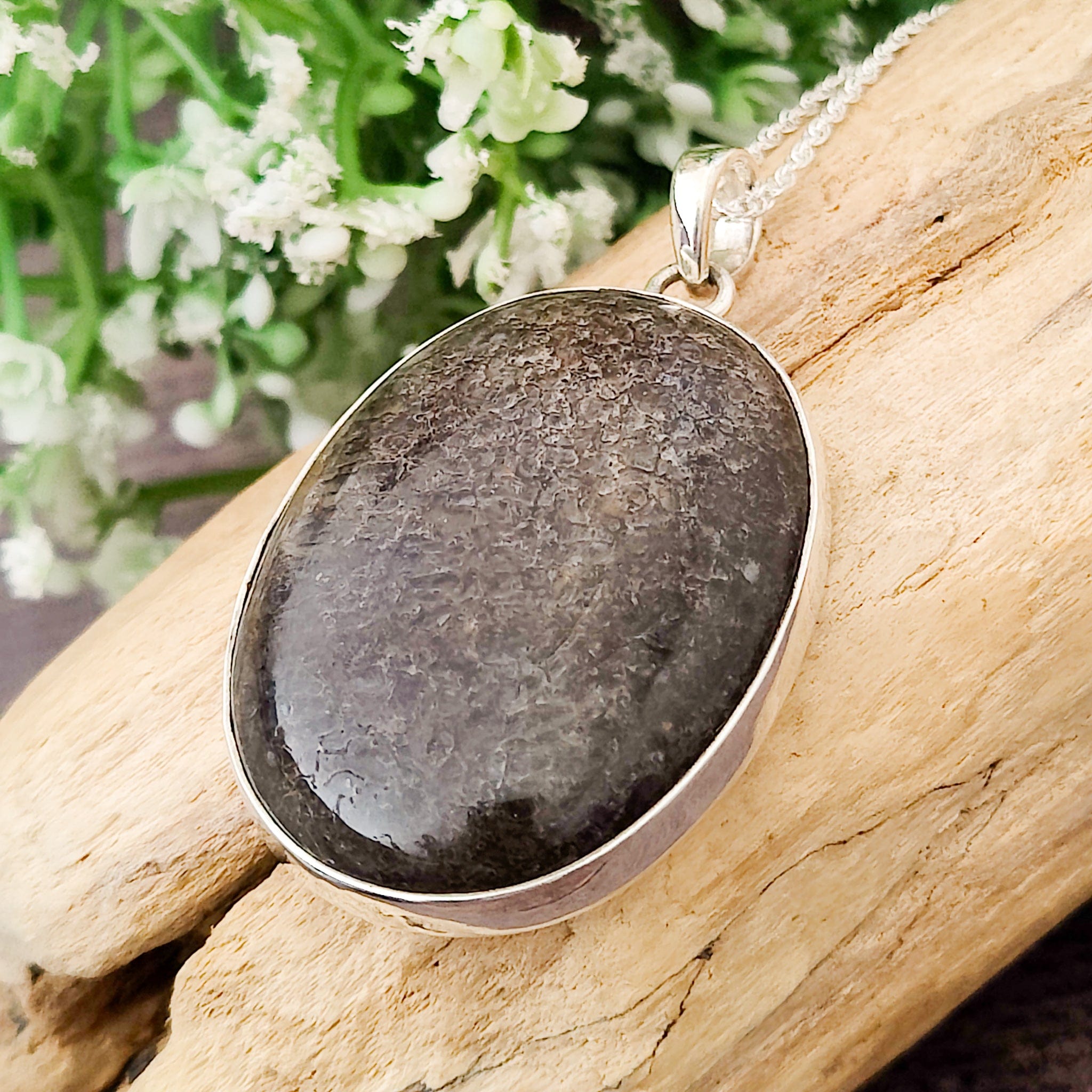 Hepburn and Hughes Dinosaur Fossil Pendant | Fossilised Brontosaurus Necklace | Large Oval | Sterling Silver