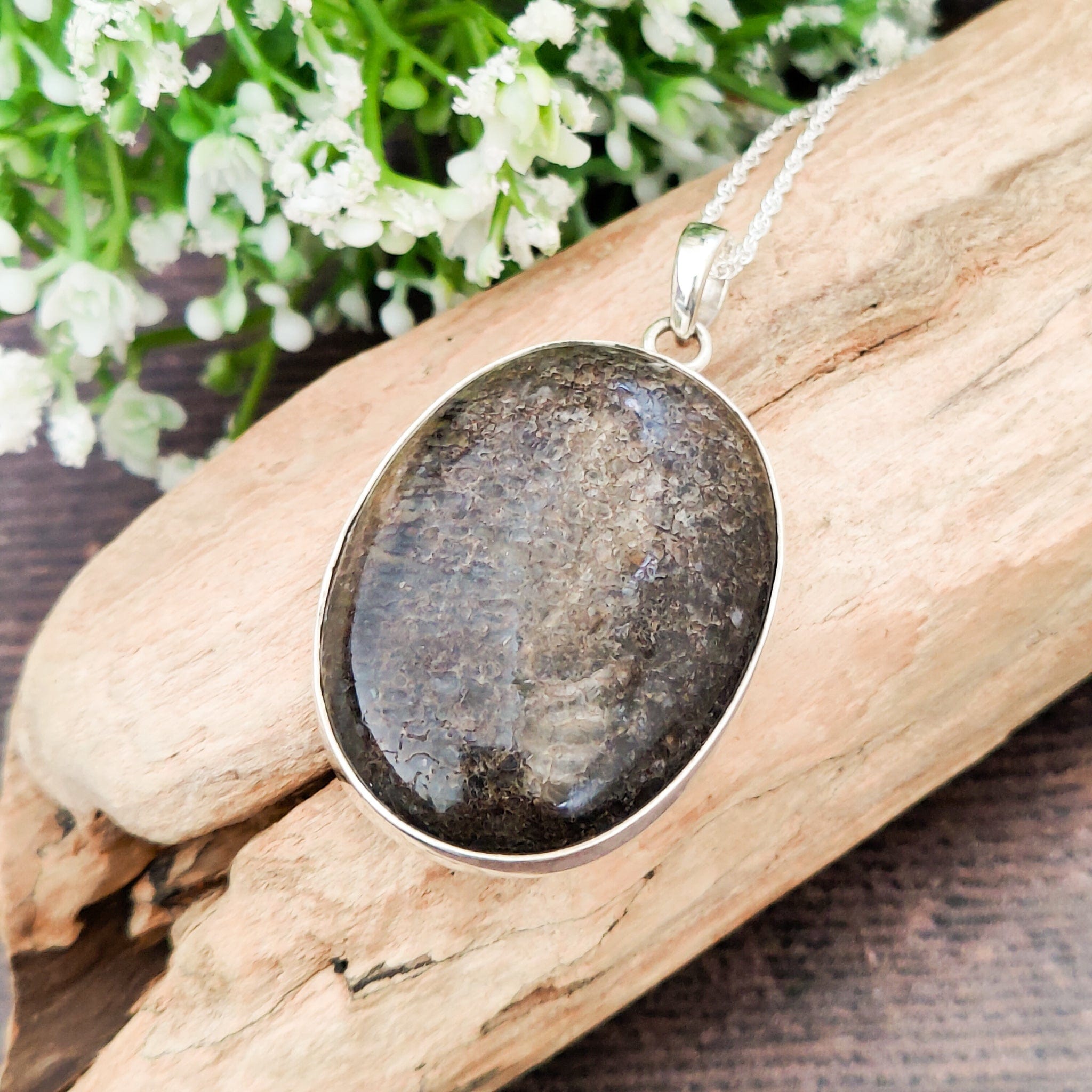 Hepburn and Hughes Dinosaur Fossil Pendant | Fossilised Brontosaurus Necklace | Large Oval | Sterling Silver