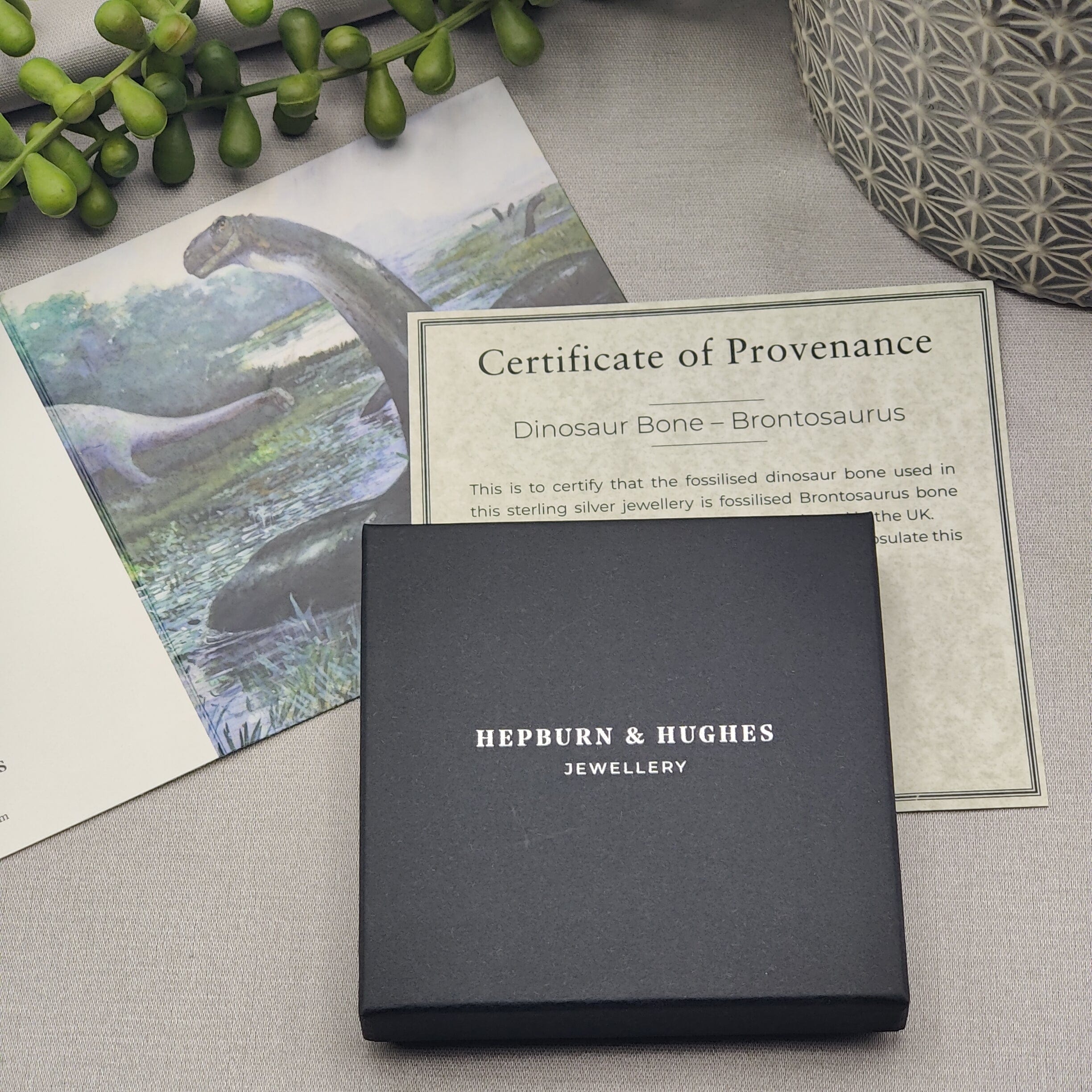 Hepburn and Hughes Dinosaur Fossil Pendant | Fossilised Brontosaurus Necklace | Large Oval | Sterling Silver