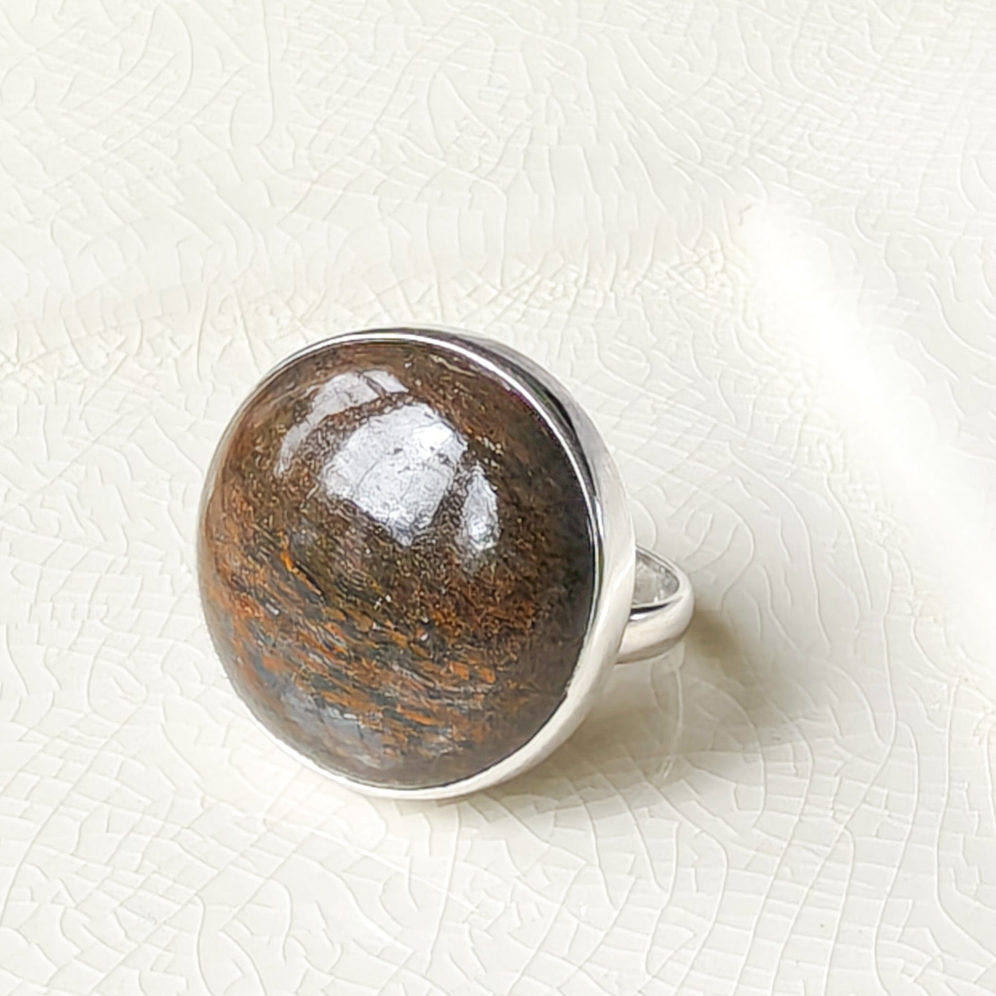 Hepburn and Hughes Dinosaur Fossil Ring | Brontosaurus Jurassic Gift | 22mm diameter | Sterling Silver