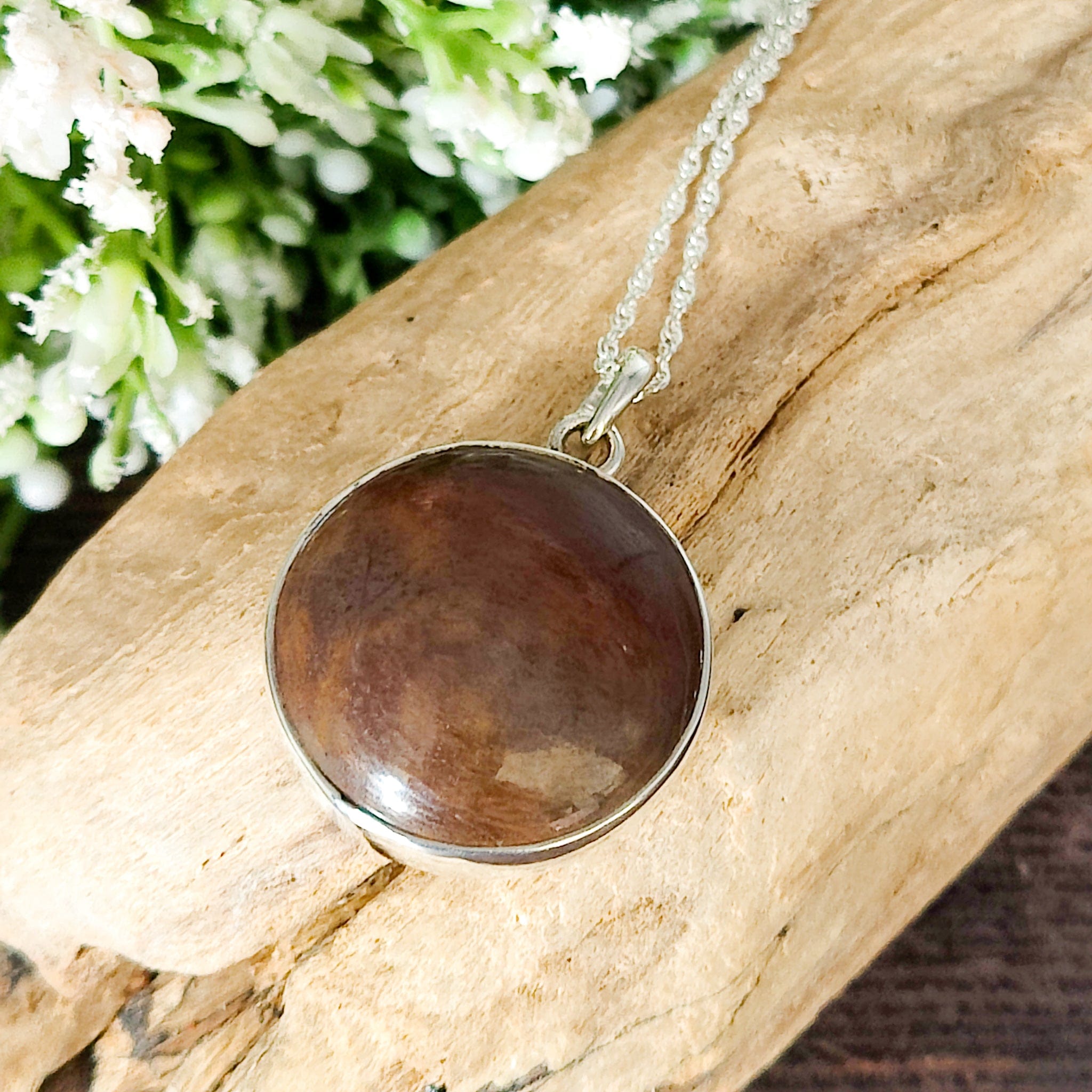 Hepburn and Hughes Dinosaur Pendant | Brontosaurus Fossil Necklace | 25mm circle | Sterling Silver