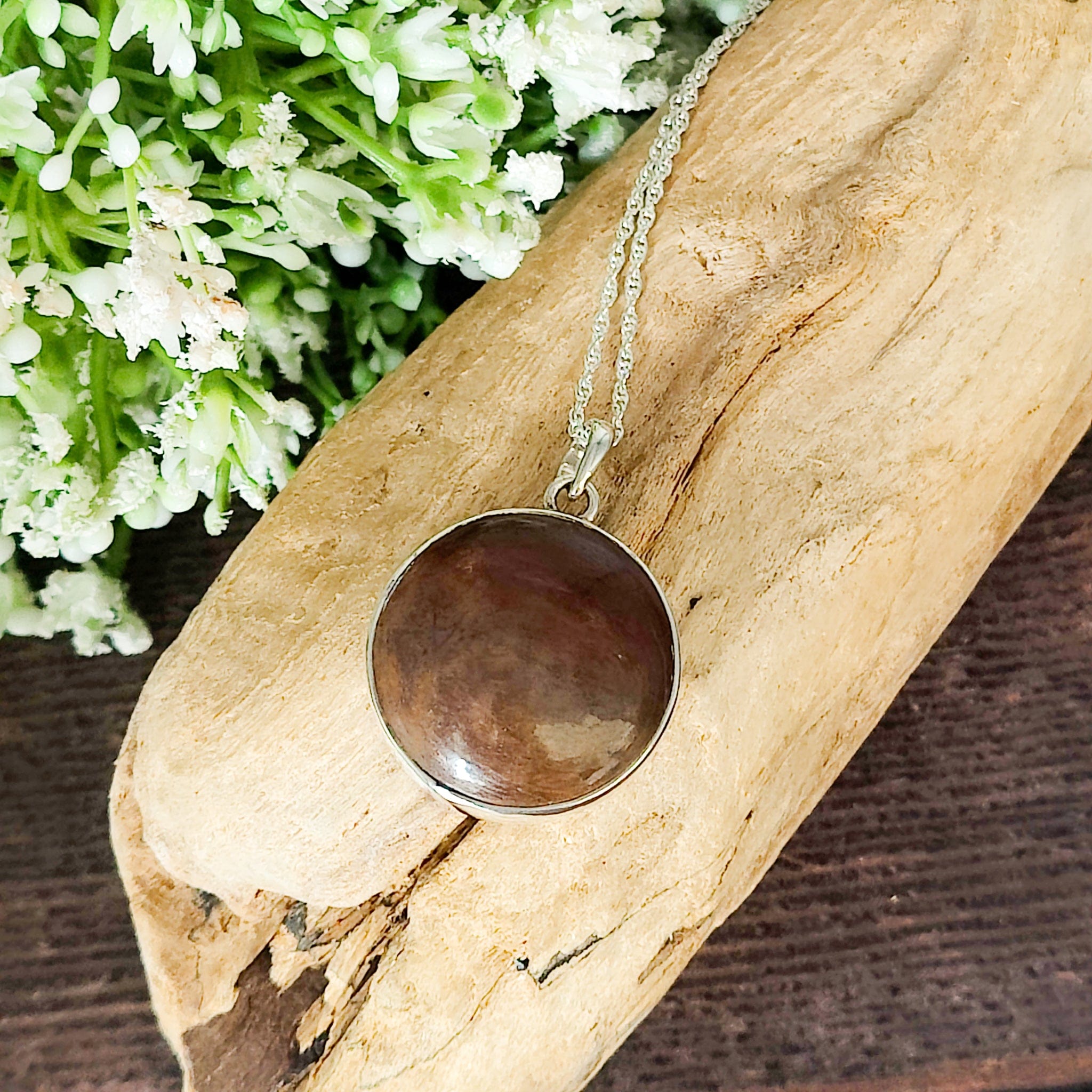 Hepburn and Hughes Dinosaur Pendant | Brontosaurus Fossil Necklace | 25mm circle | Sterling Silver