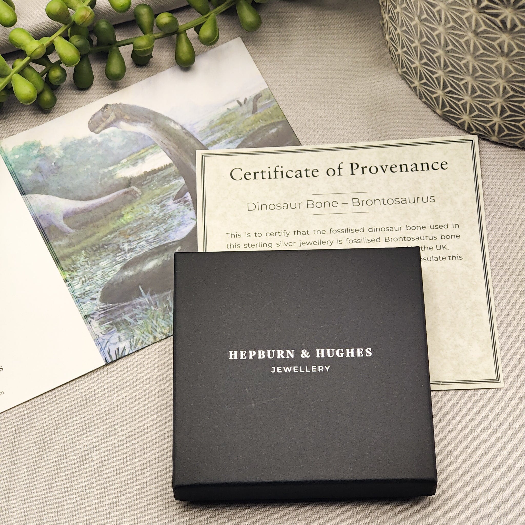 Hepburn and Hughes Dinosaur Pendant | Brontosaurus Fossil Necklace | 25mm circle | Sterling Silver