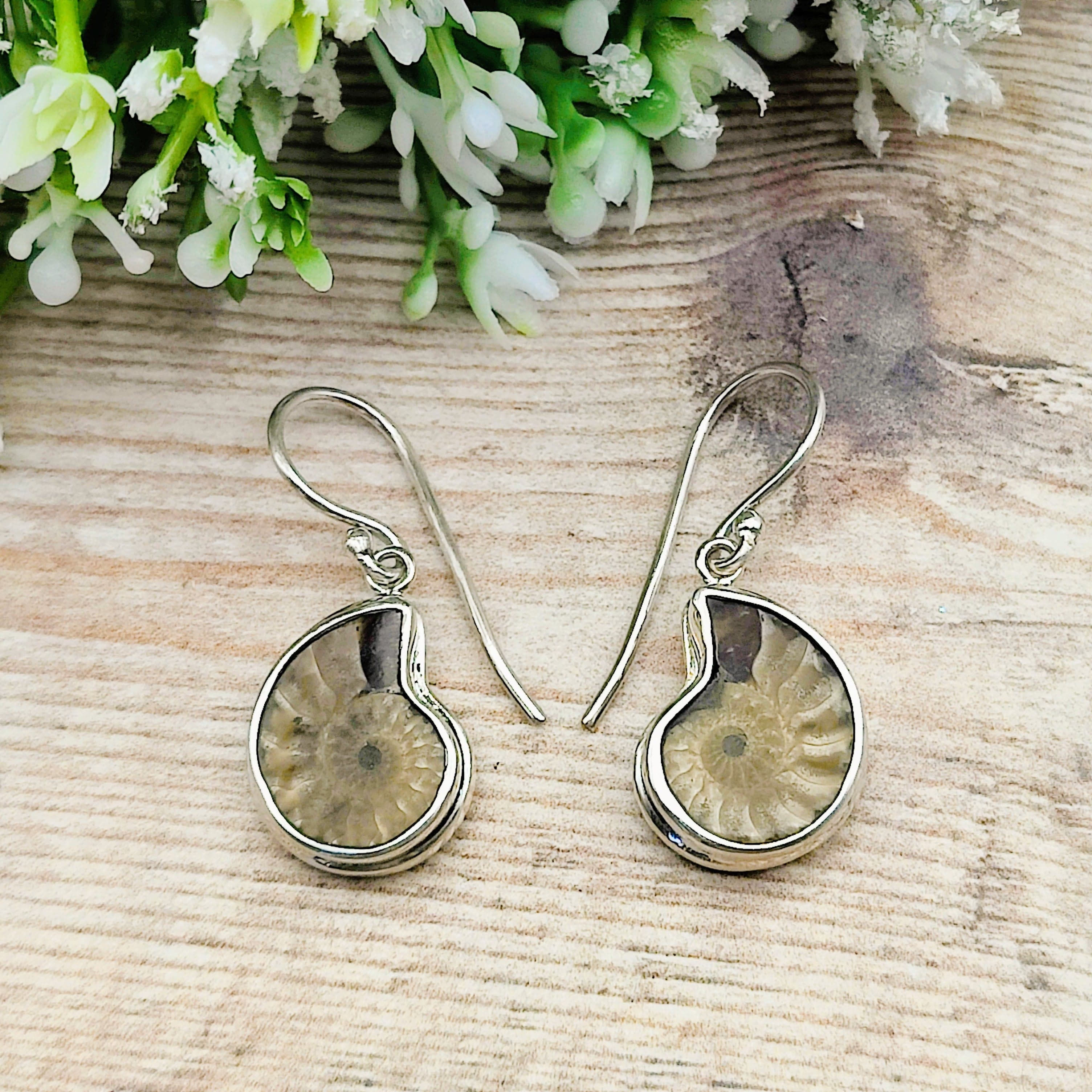 Hepburn and Hughes Extra Small Ammonite Earrings | 15mm | Madagascan Fossils | Sterling Silver