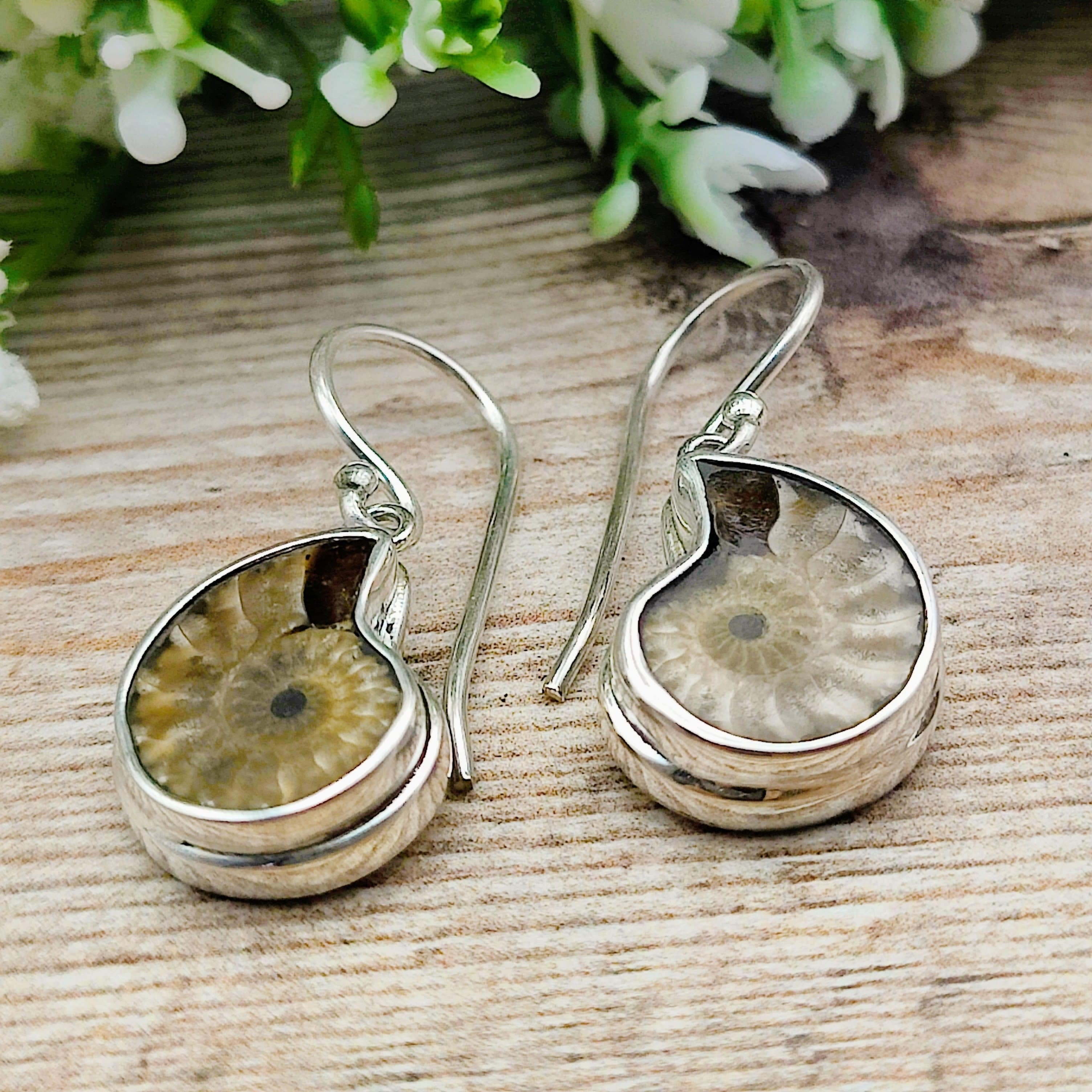 Hepburn and Hughes Extra Small Ammonite Earrings | 15mm | Madagascan Fossils | Sterling Silver
