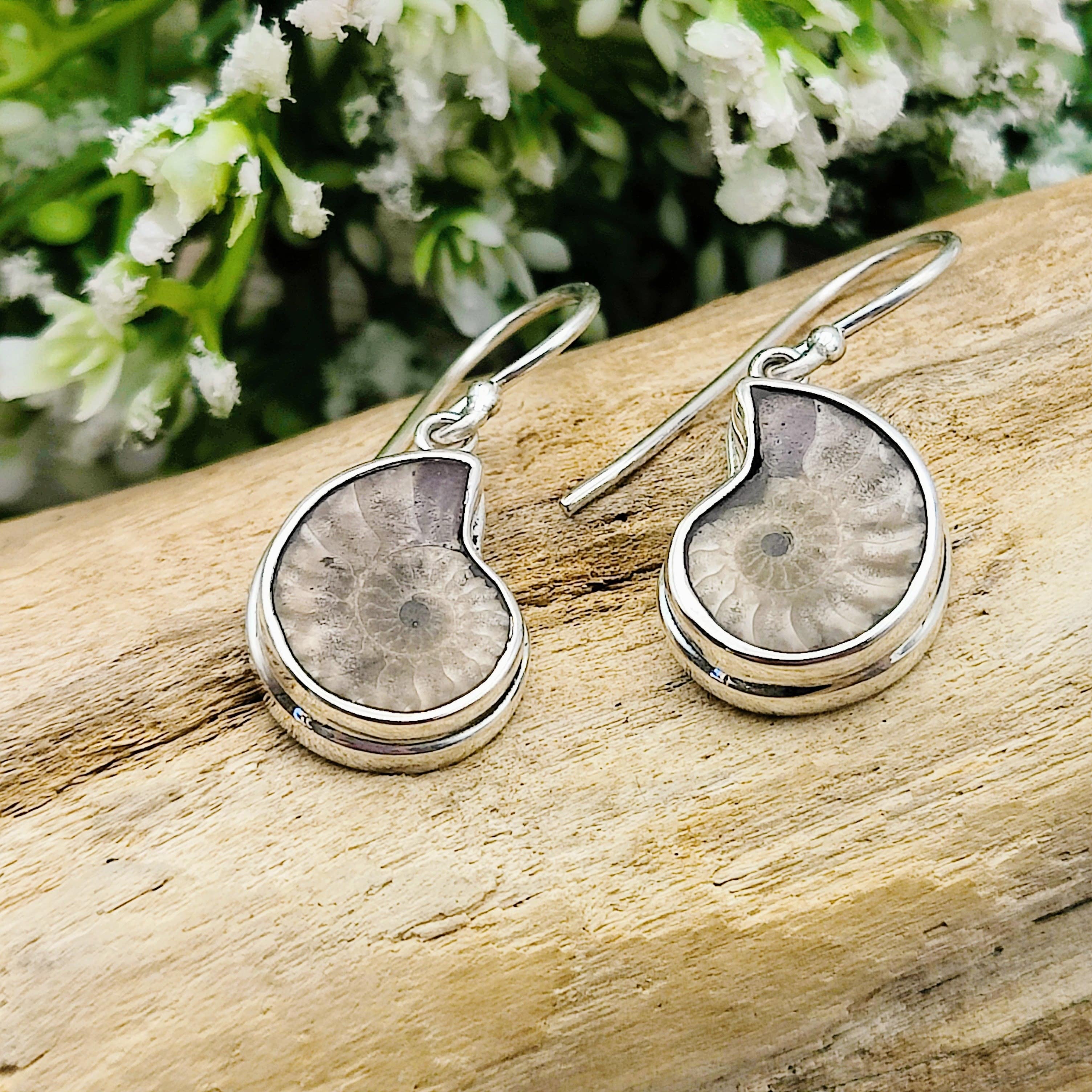 Hepburn and Hughes Extra Small Ammonite Earrings | 15mm | Madagascan Fossils | Sterling Silver