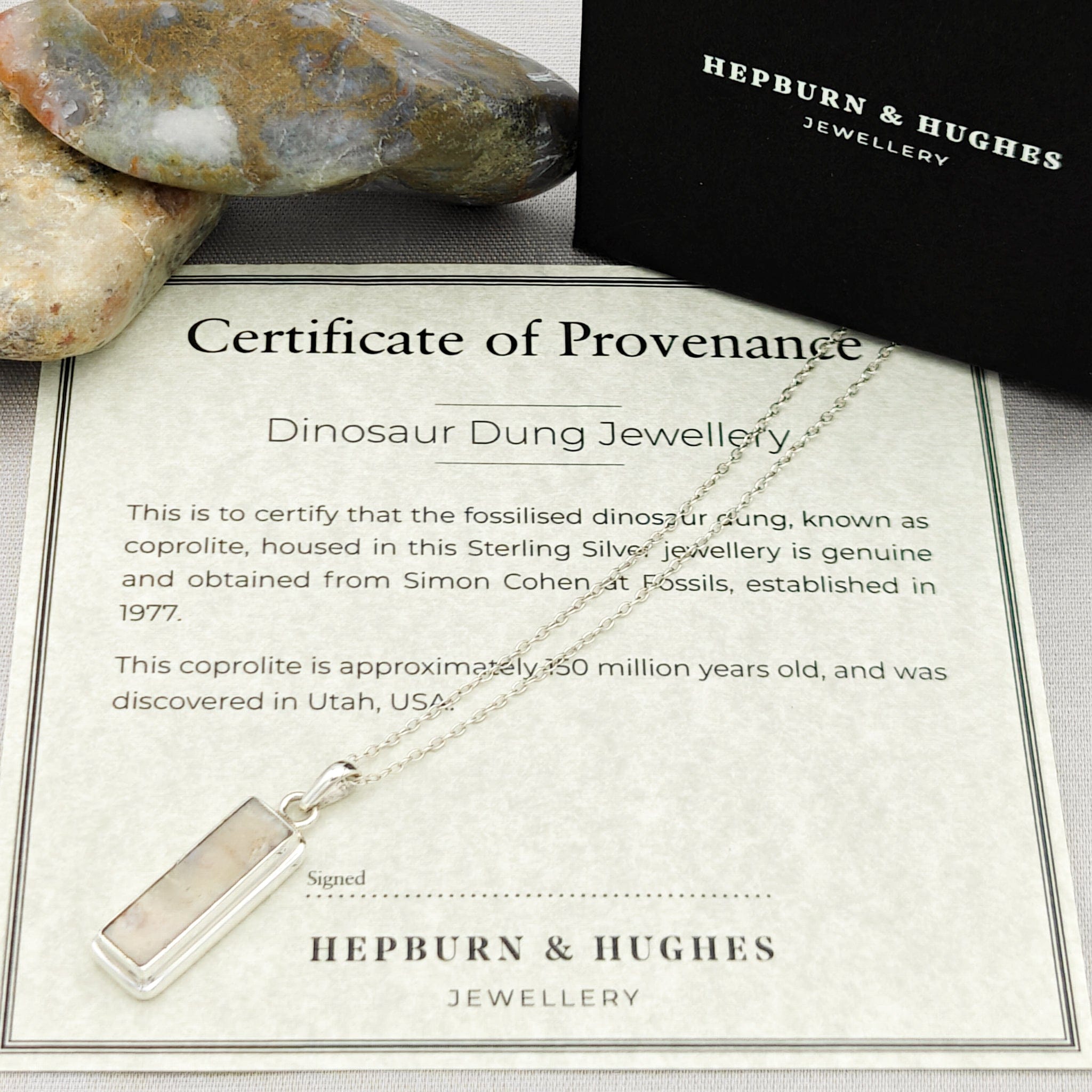 Hepburn and Hughes Fossilised Dinosaur Poo Pendant | Coprolite Fossil Gift | Sterling Silver