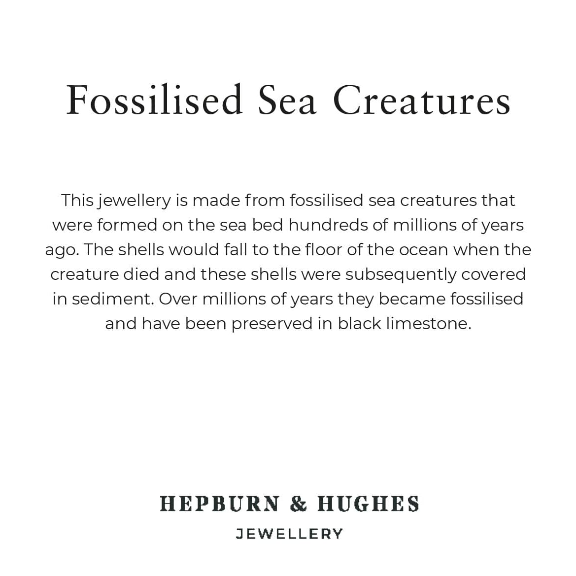 Hepburn and Hughes Fossilised Sea Creatures | Fossil Earrings | 12mm Oval | Sterling Silver