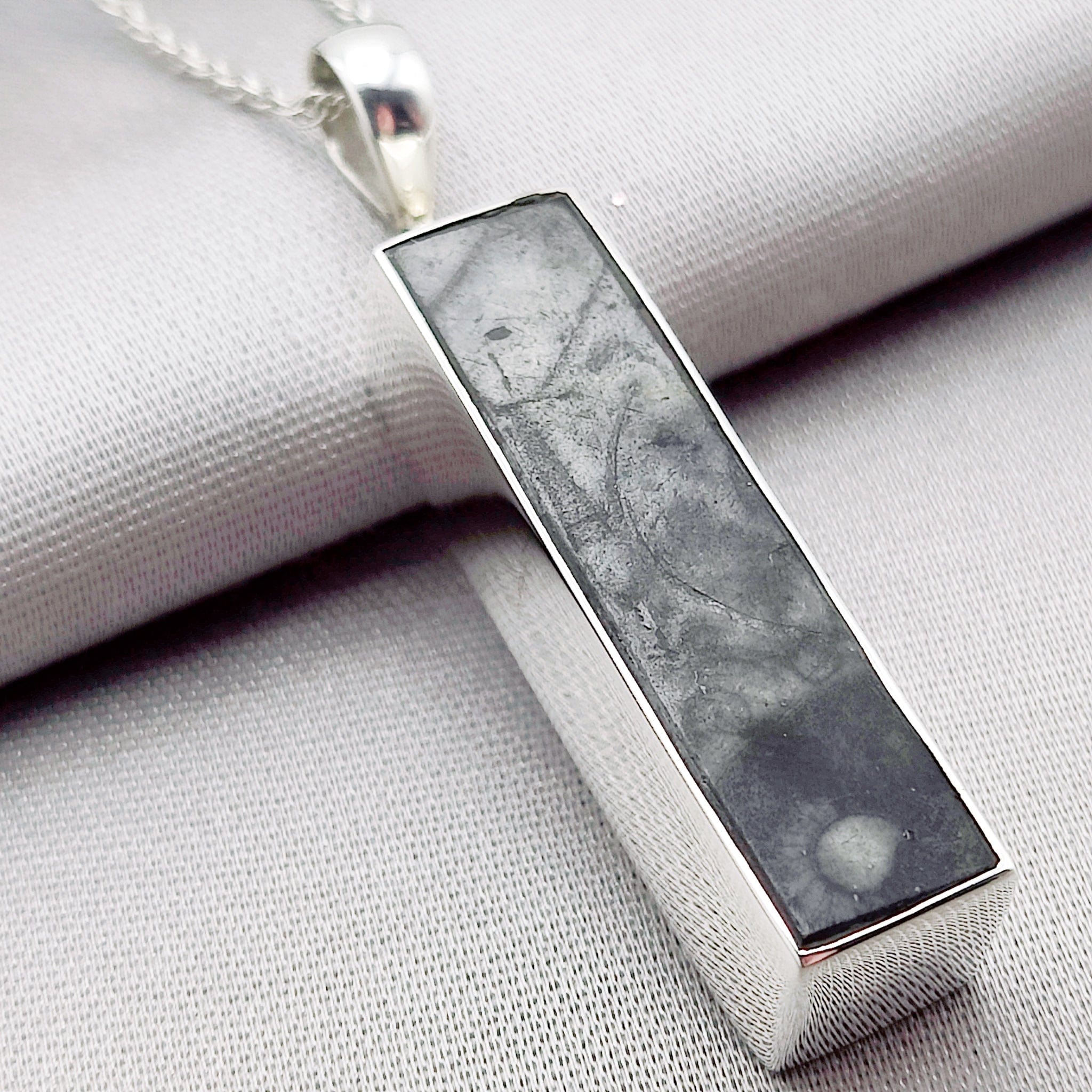 Hepburn and Hughes Fossilised Sea Creatures Pendant | 35mm Rectangle | Sterling Silver