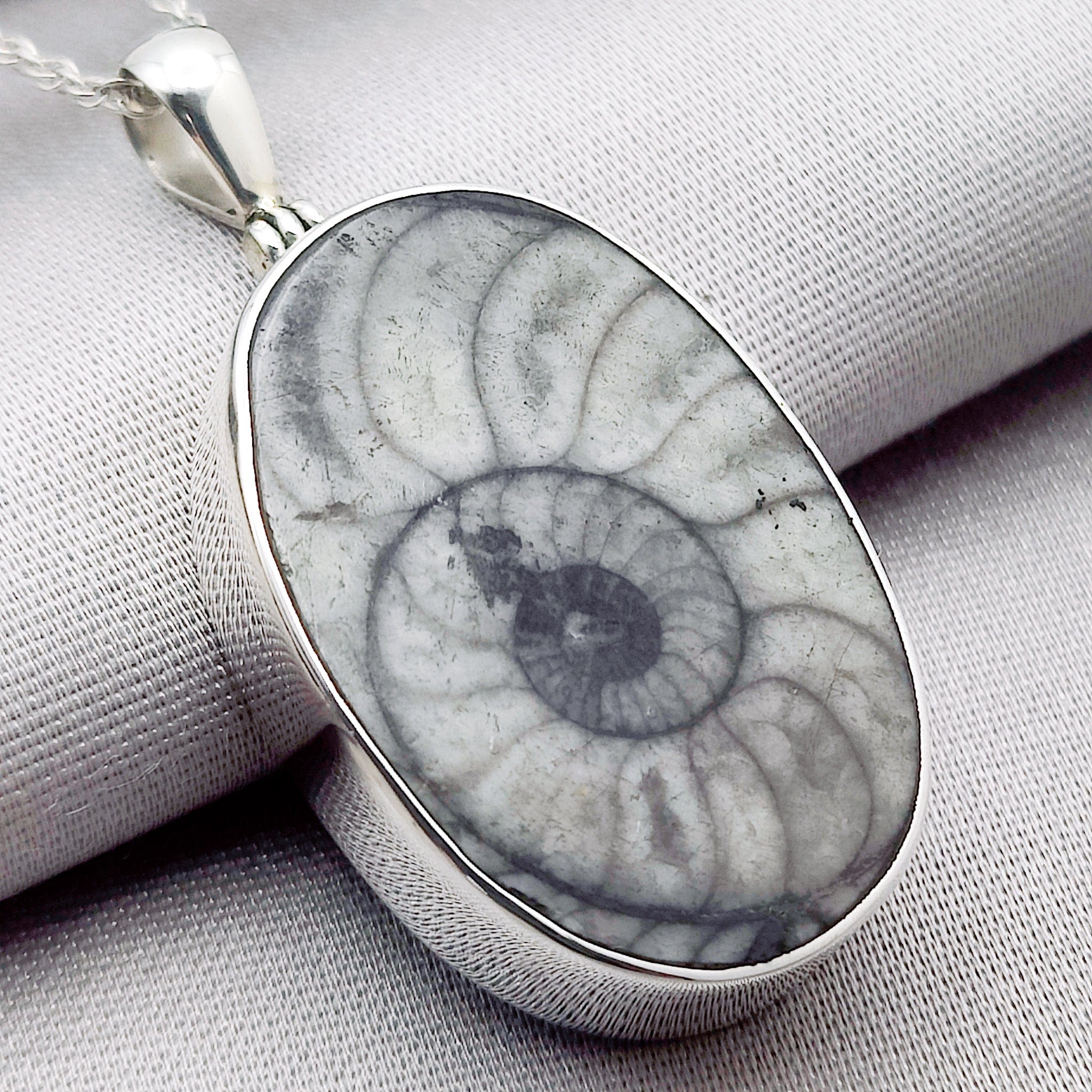 Hepburn and Hughes Fossilised Sea Creatures Pendant | Fossil Necklace | 30mm Oval | Sterling Silver